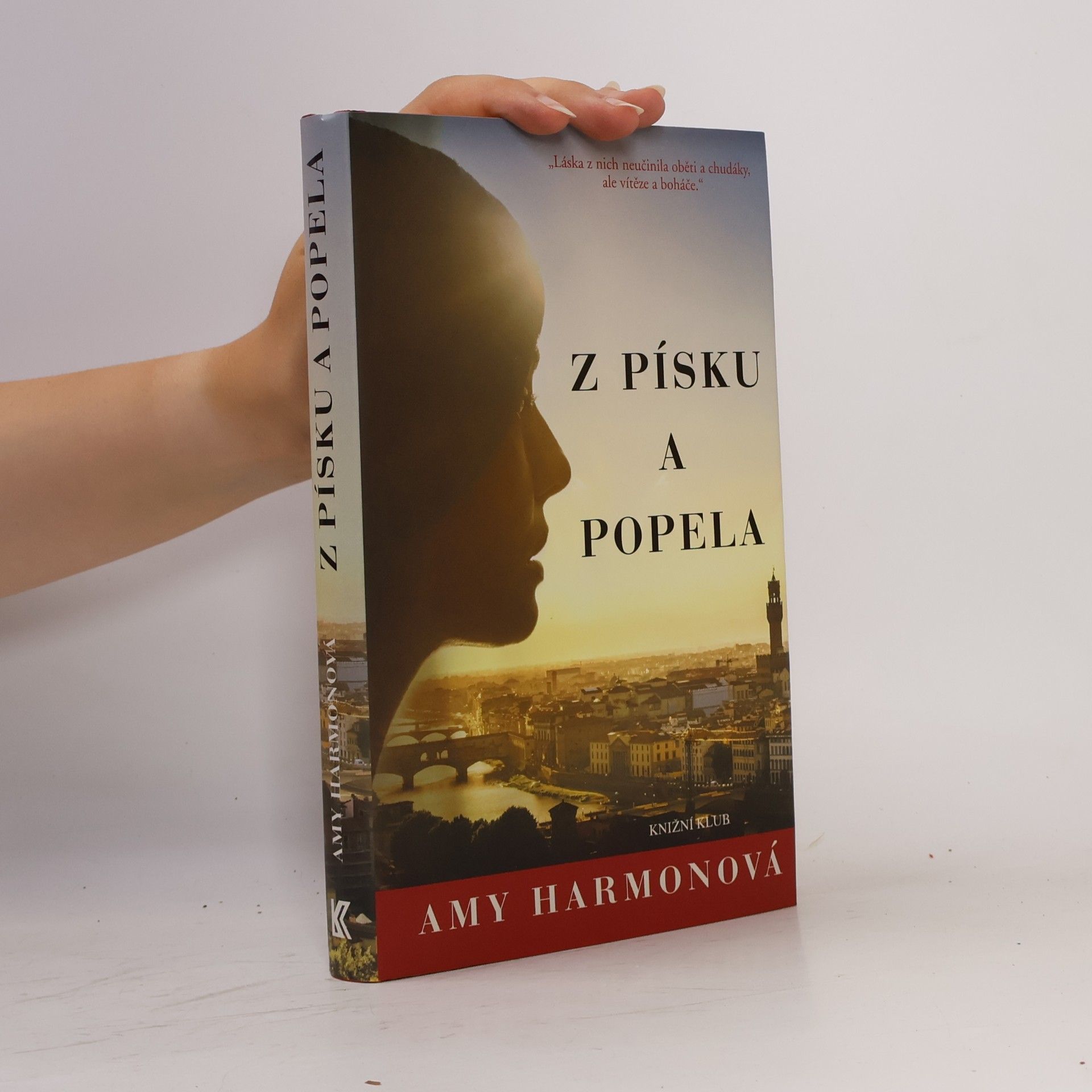 Amy Harmon Z písku a popela