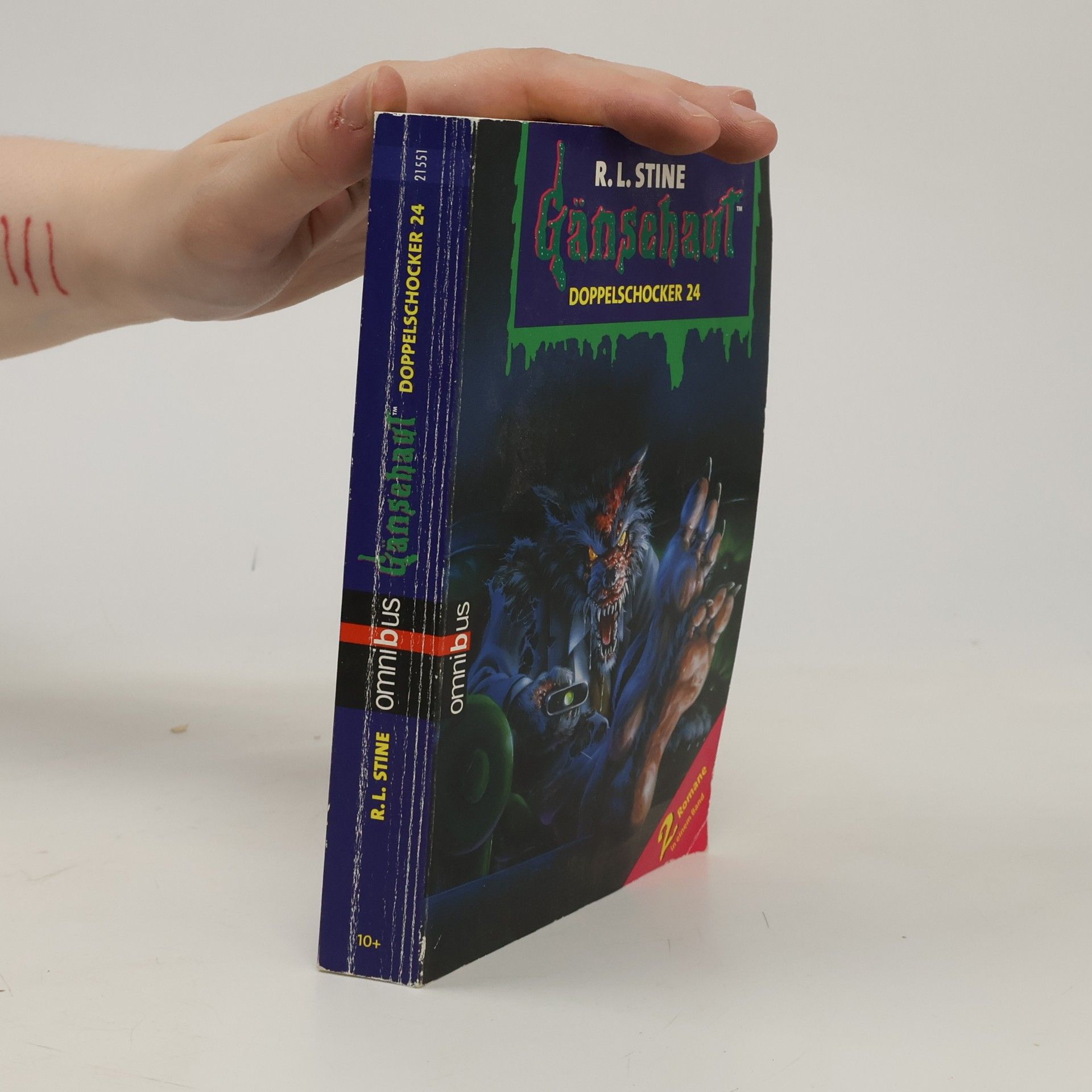 R. L. Stine Gänsehaut - Doppelschocker 24. Ab 10