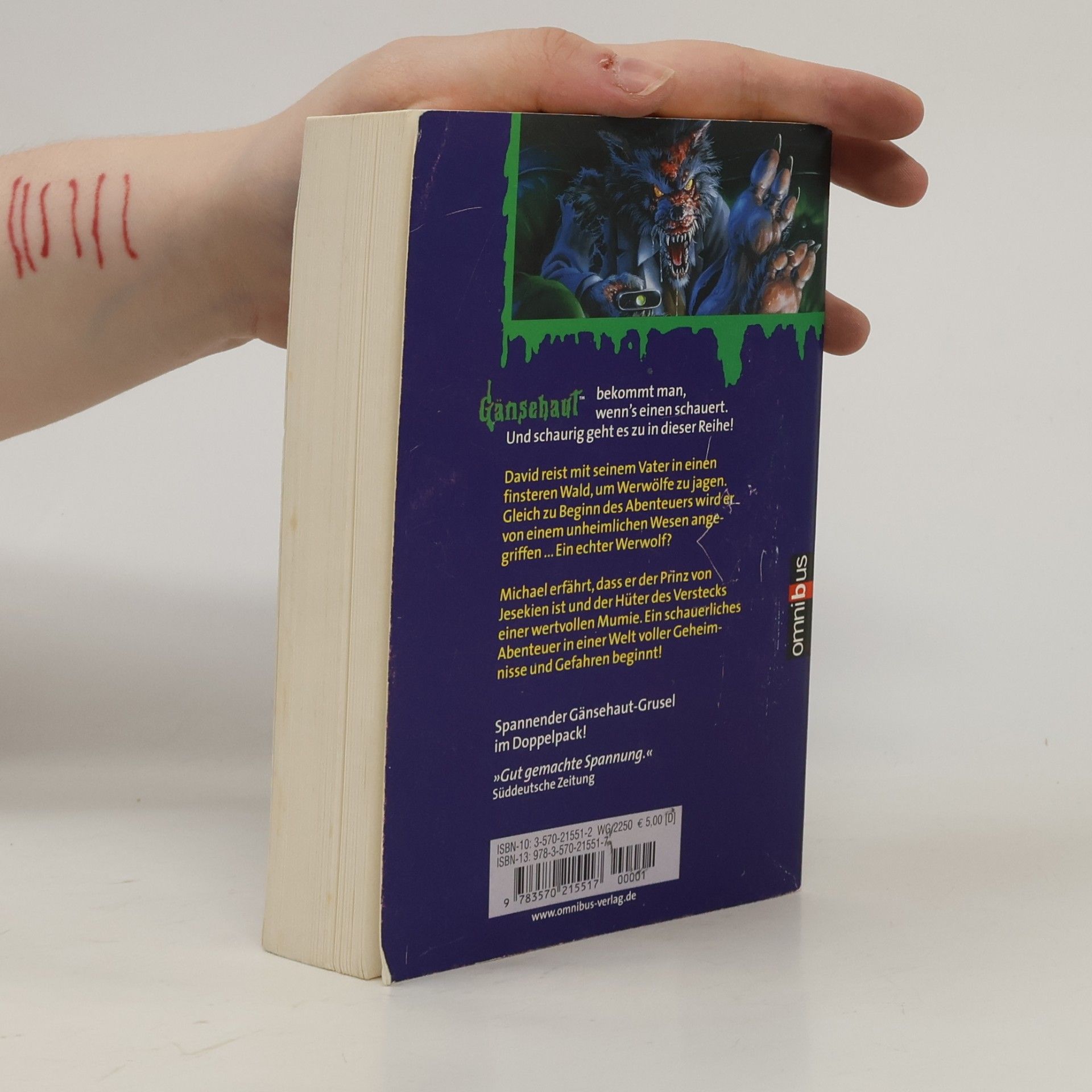 R. L. Stine Gänsehaut - Doppelschocker 24. Ab 10