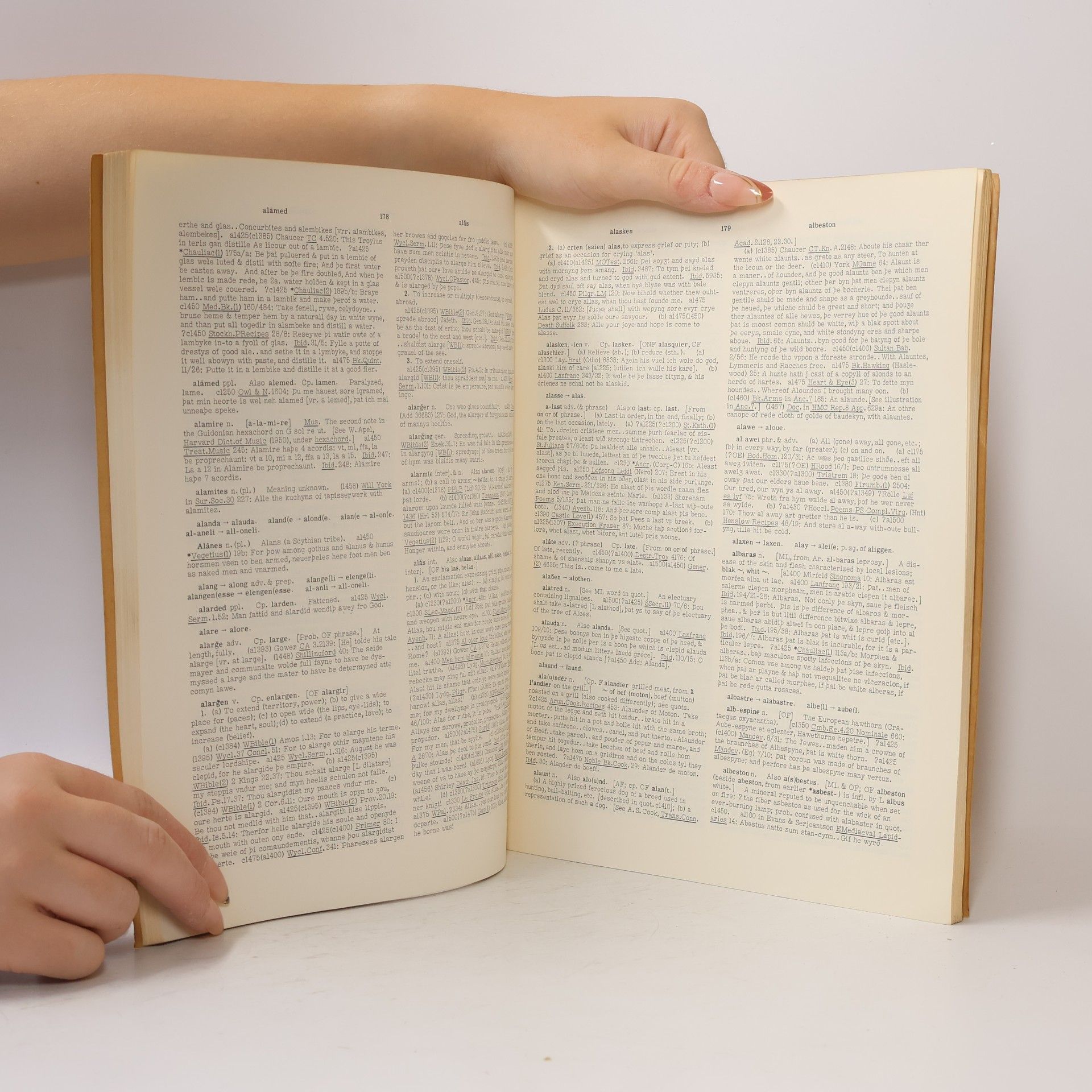 AA.VV. Middle English Dictionary
