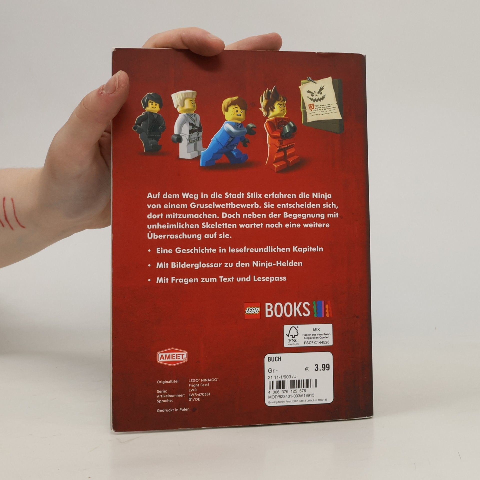 Autorenkollektiv LEGO Ninjago Legacy. Eine unheimliche Überraschung