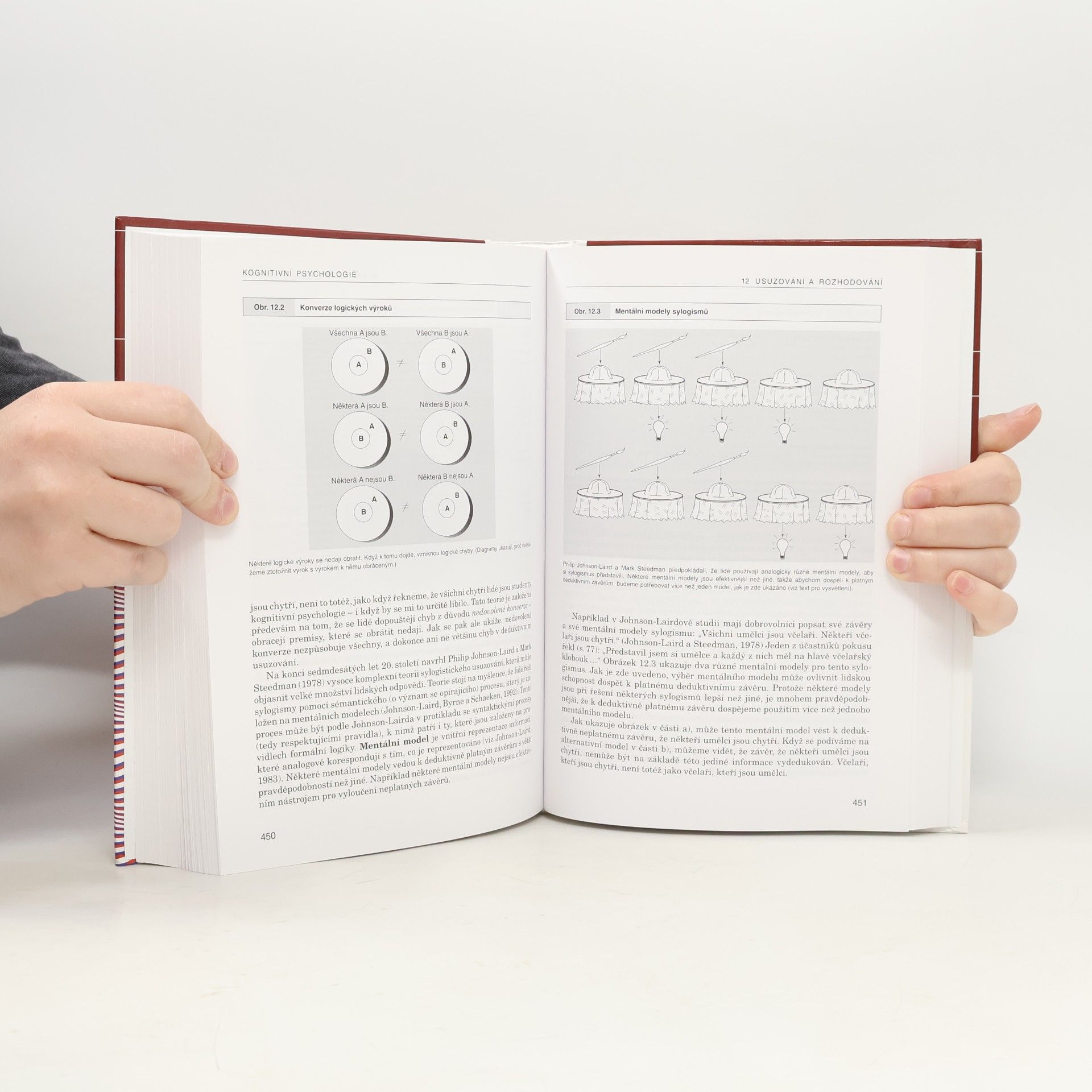 Robert Sternberg Kognitivní psychologie