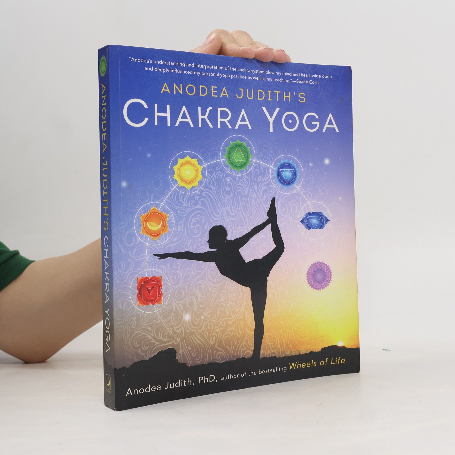 Anodea Judith's Chakra Yoga