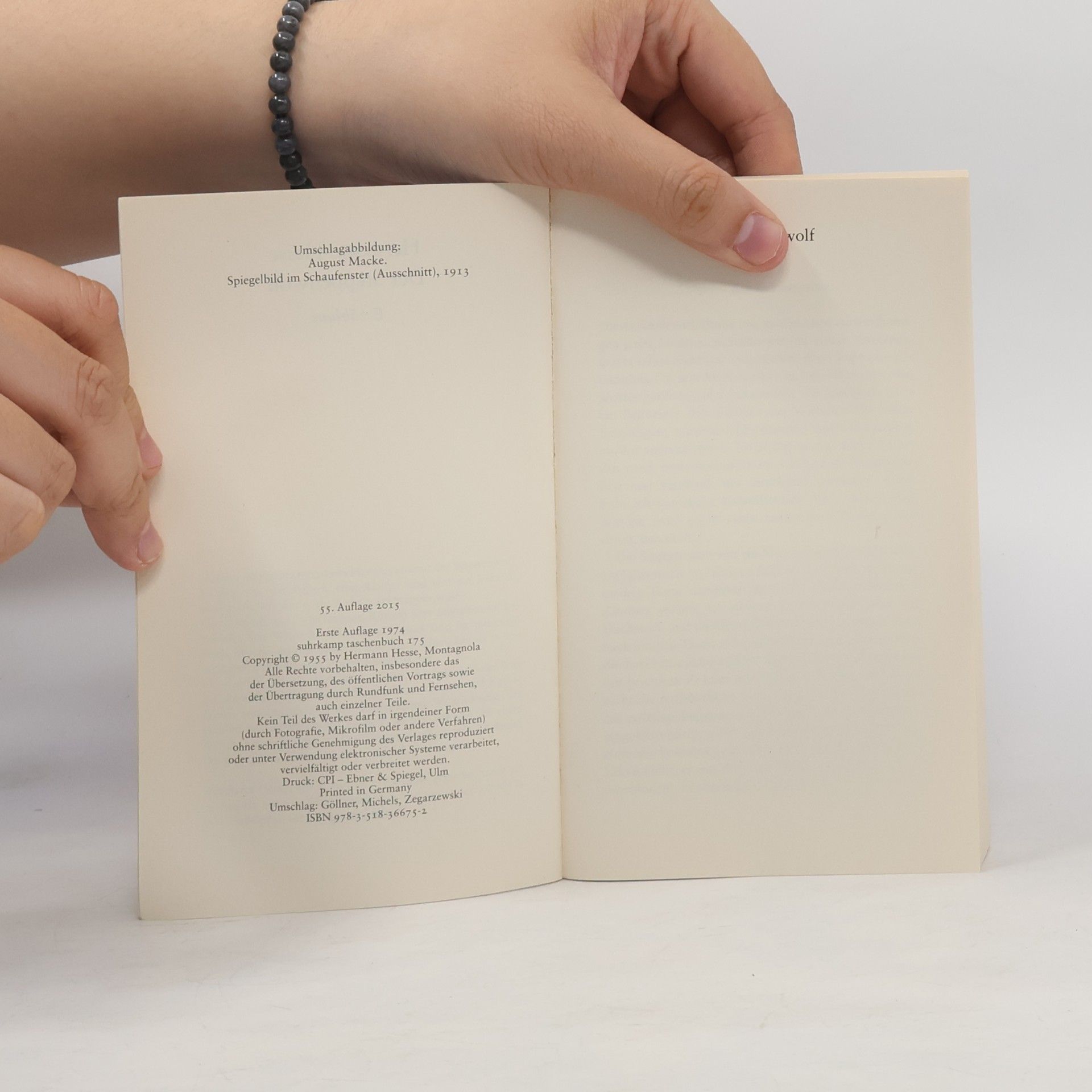 Hermann Hesse Der Steppenwolf