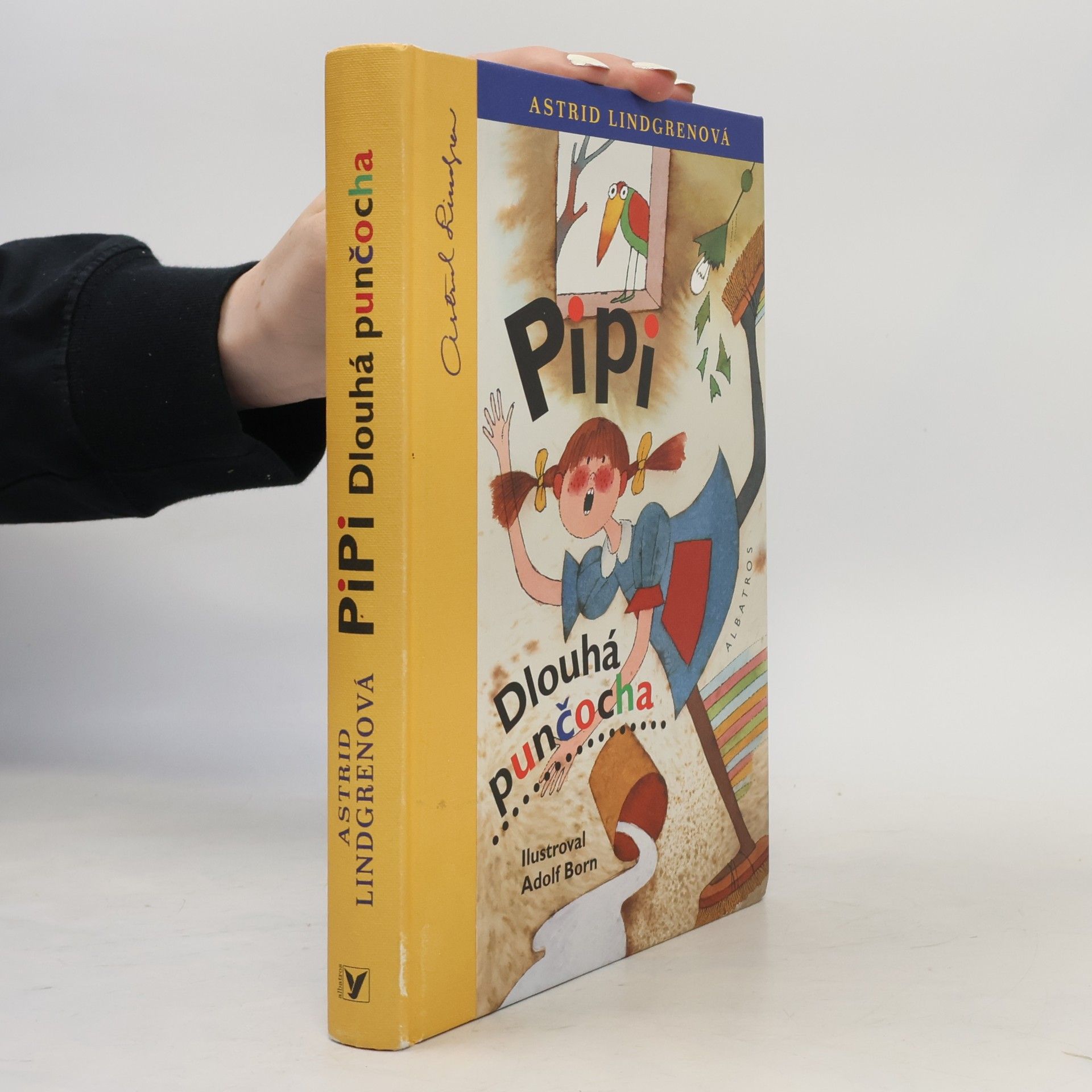 Astrid Lindgren Pipi Dlouhá punčocha