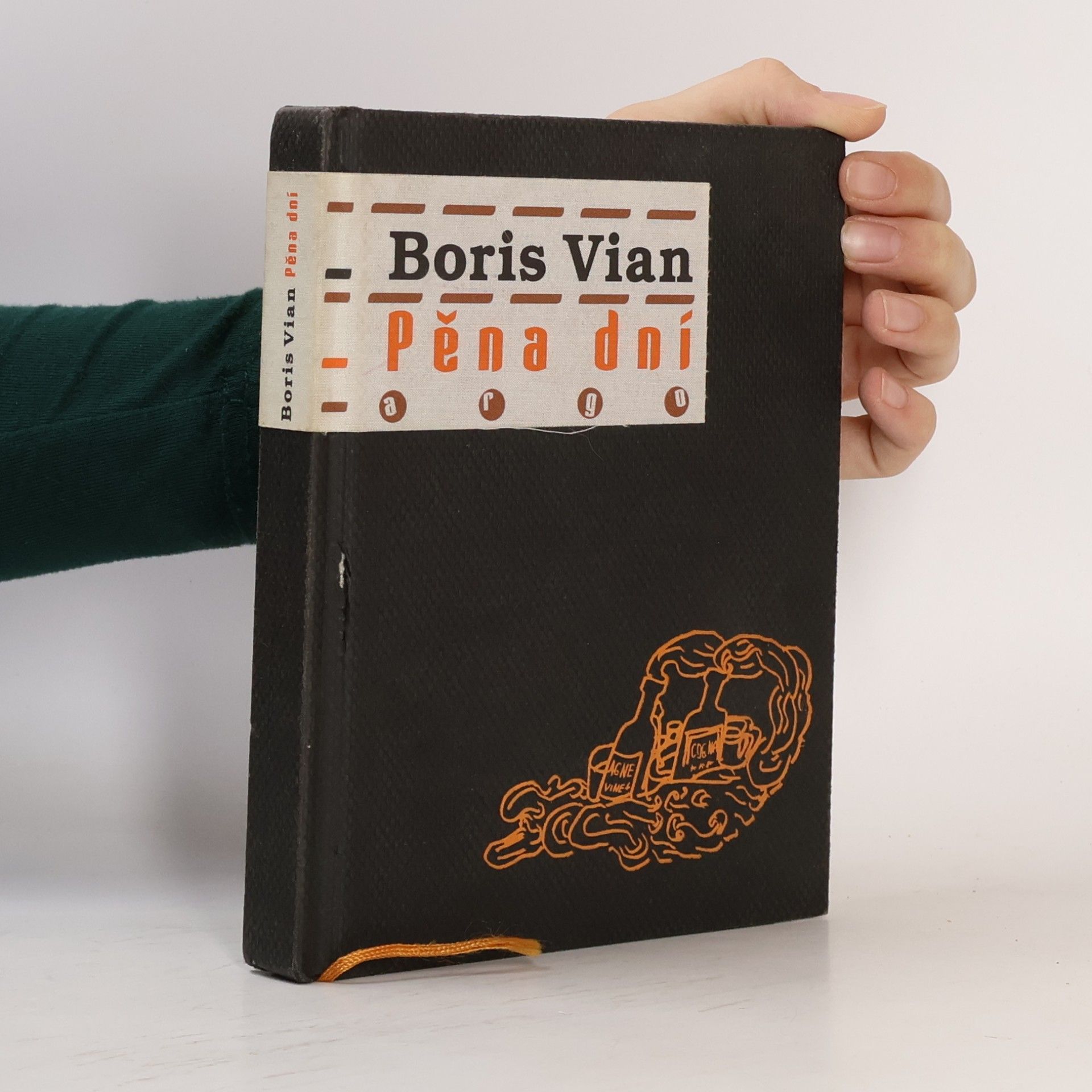 Boris Vian Pěna dní
