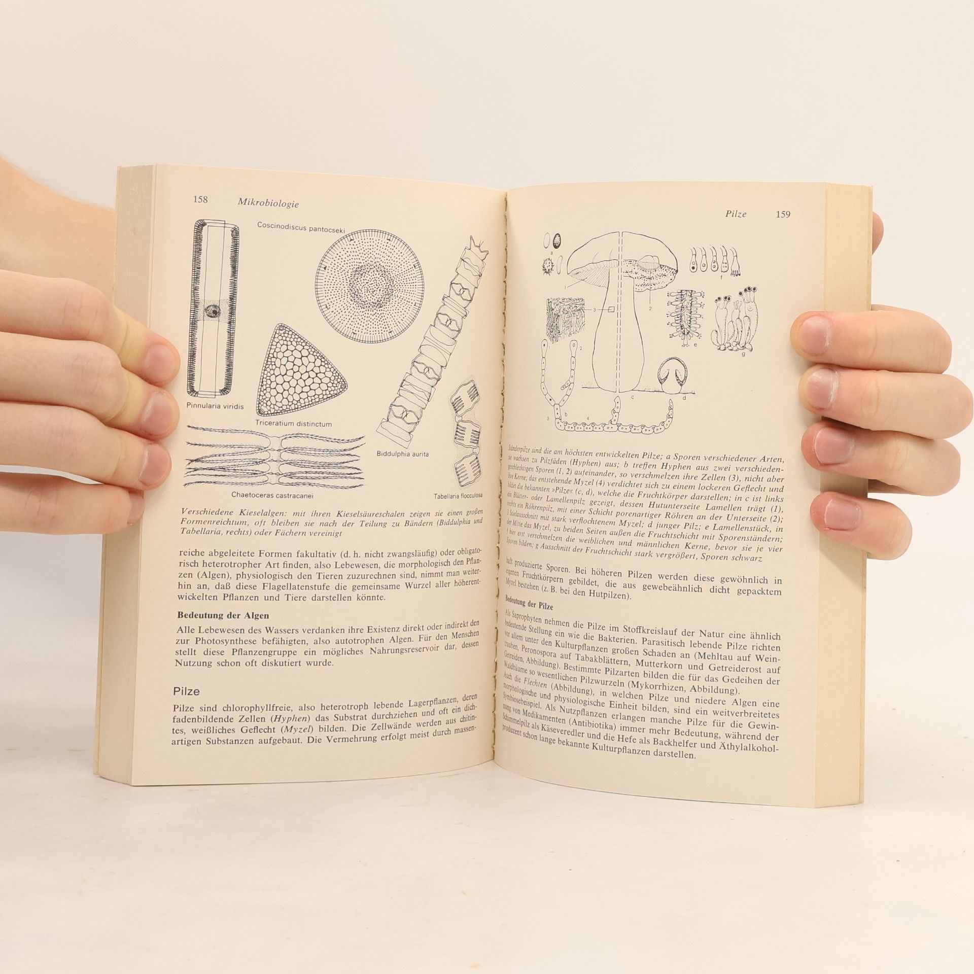 Fritz Lense Biologie