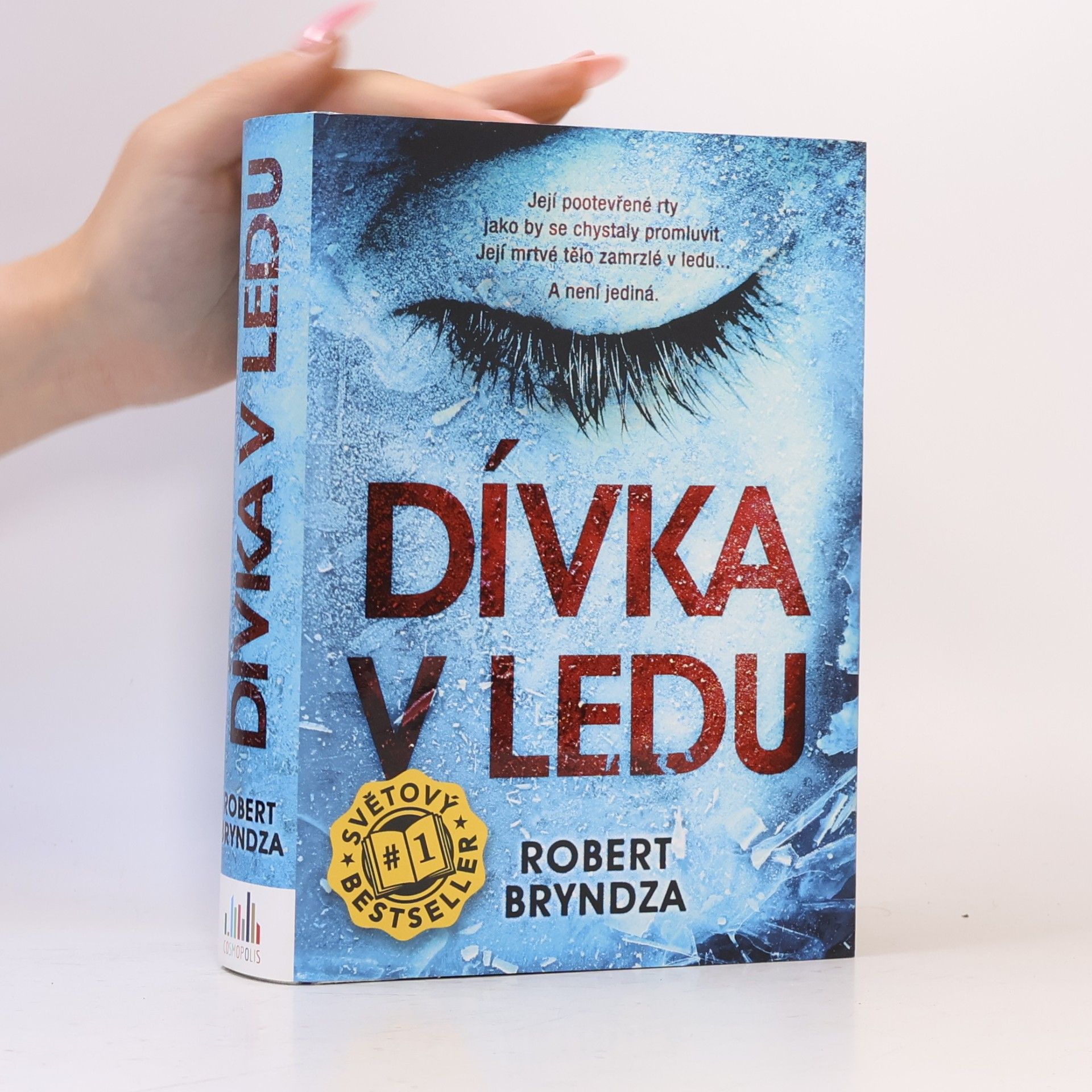 Robert Bryndza Dívka v ledu