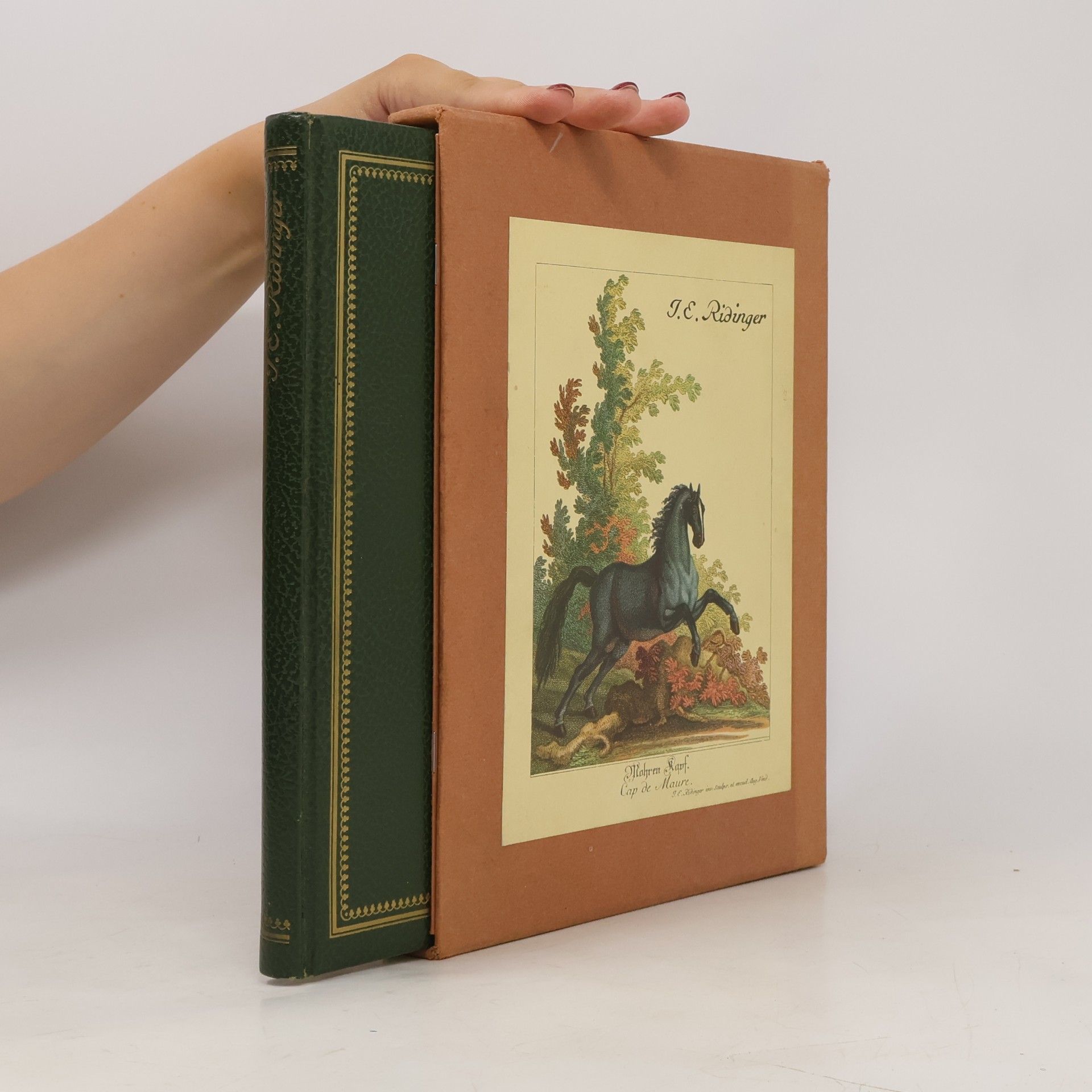 Johann Elias Ridinger Vorstellung der Pferde nach ihren Hauptfarben und derselben verschiedenen Abtheilungen, Complexion [Abteilungen, Komplexion] und der daraus entspringenden Beschaffenheit