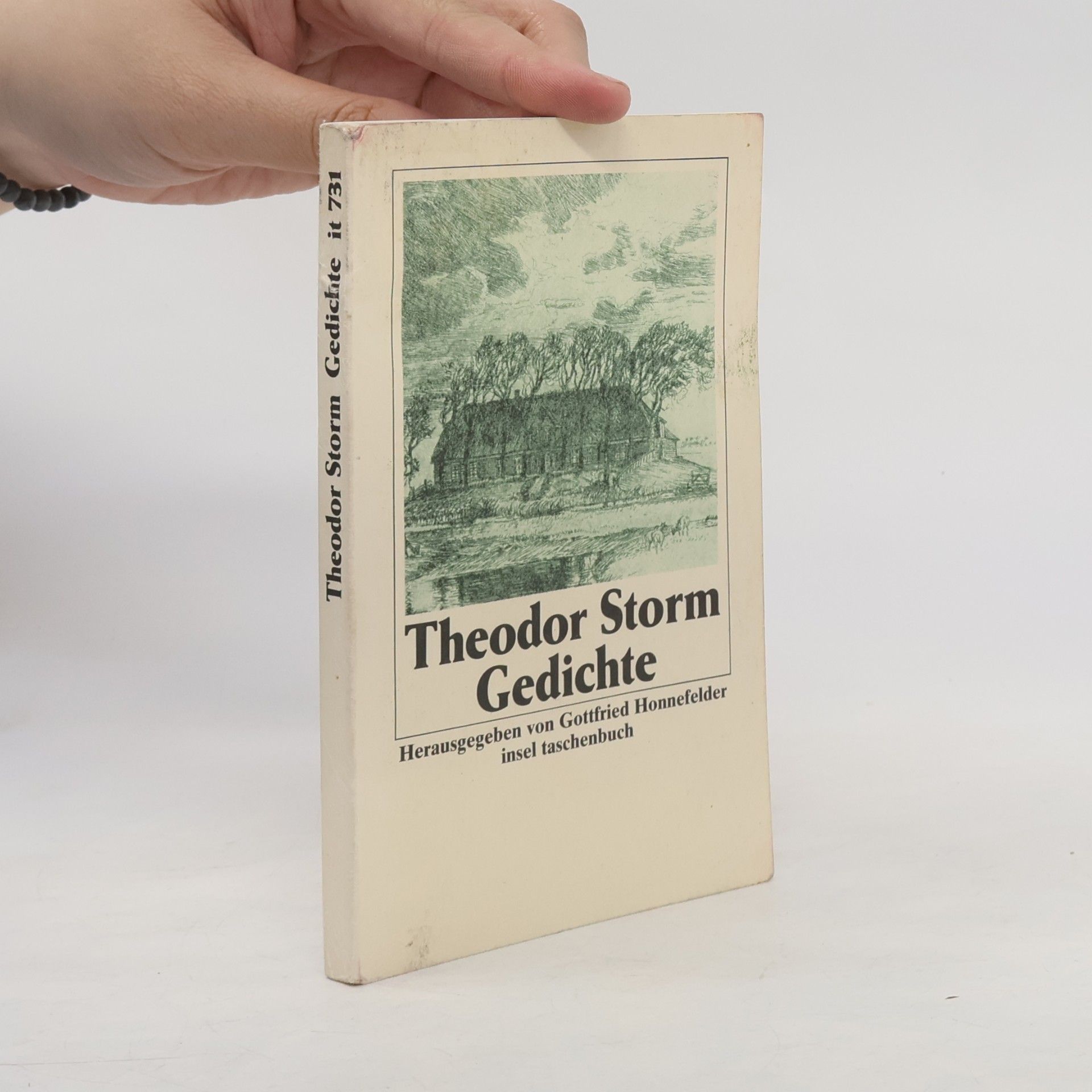 Theodor Storm Gedichte