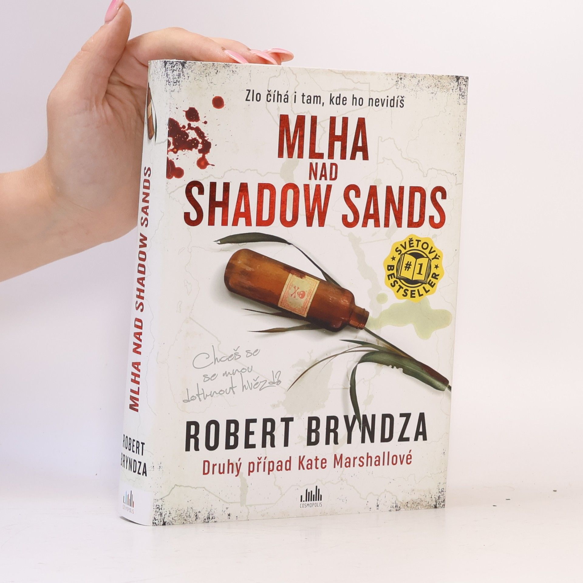 Robert Bryndza Mlha nad Shadow Sands