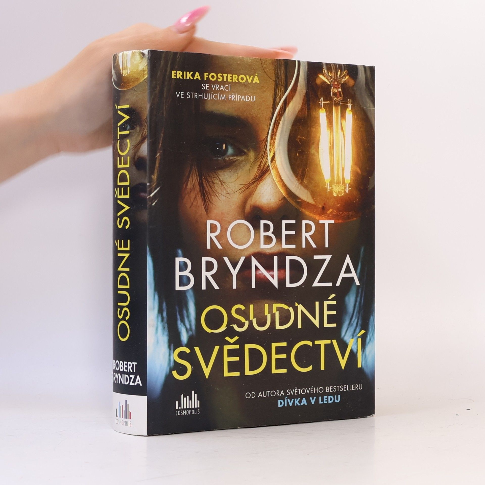 Robert Bryndza Osudné svědectví