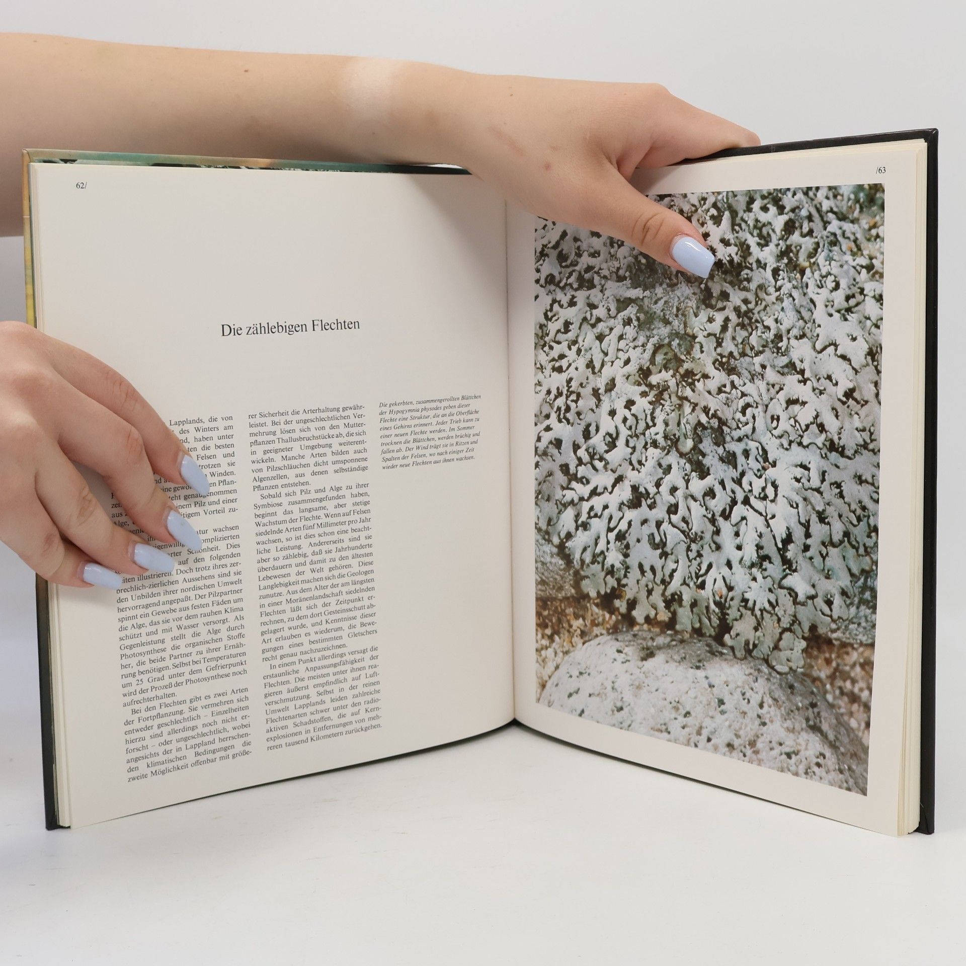 Autorenkollektiv Lappland. Die Wildnisse der Welt/Time-Life Bücher