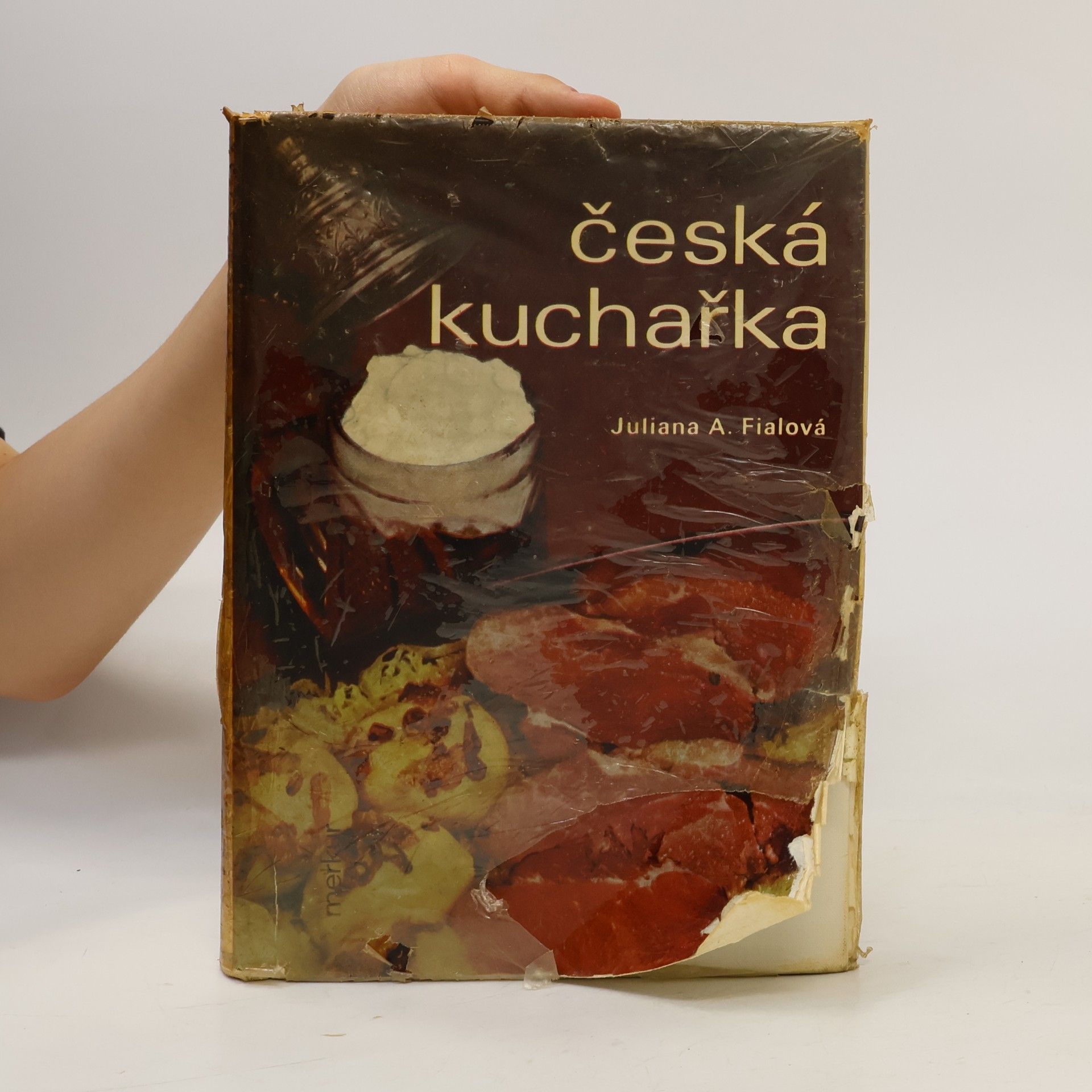 Juliana Anna Fialová Česká kuchařka