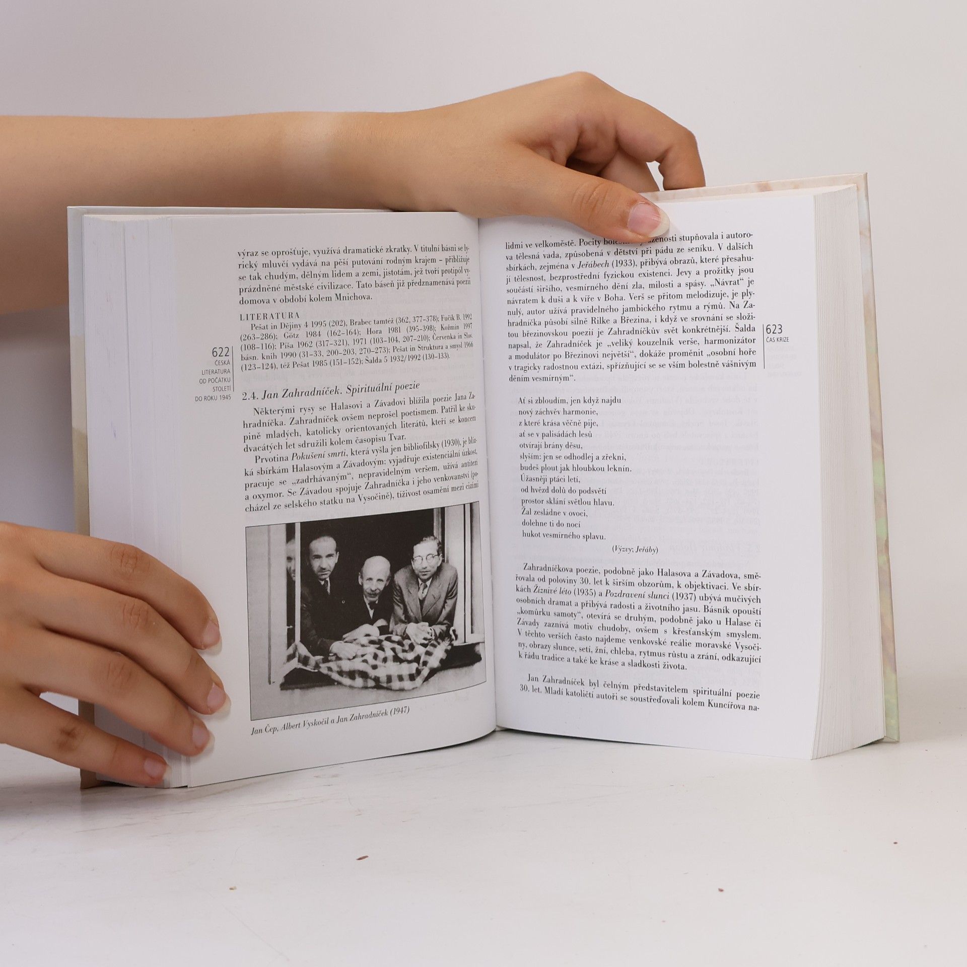 Jiří Holý Česká literatura od počátků k dnešku