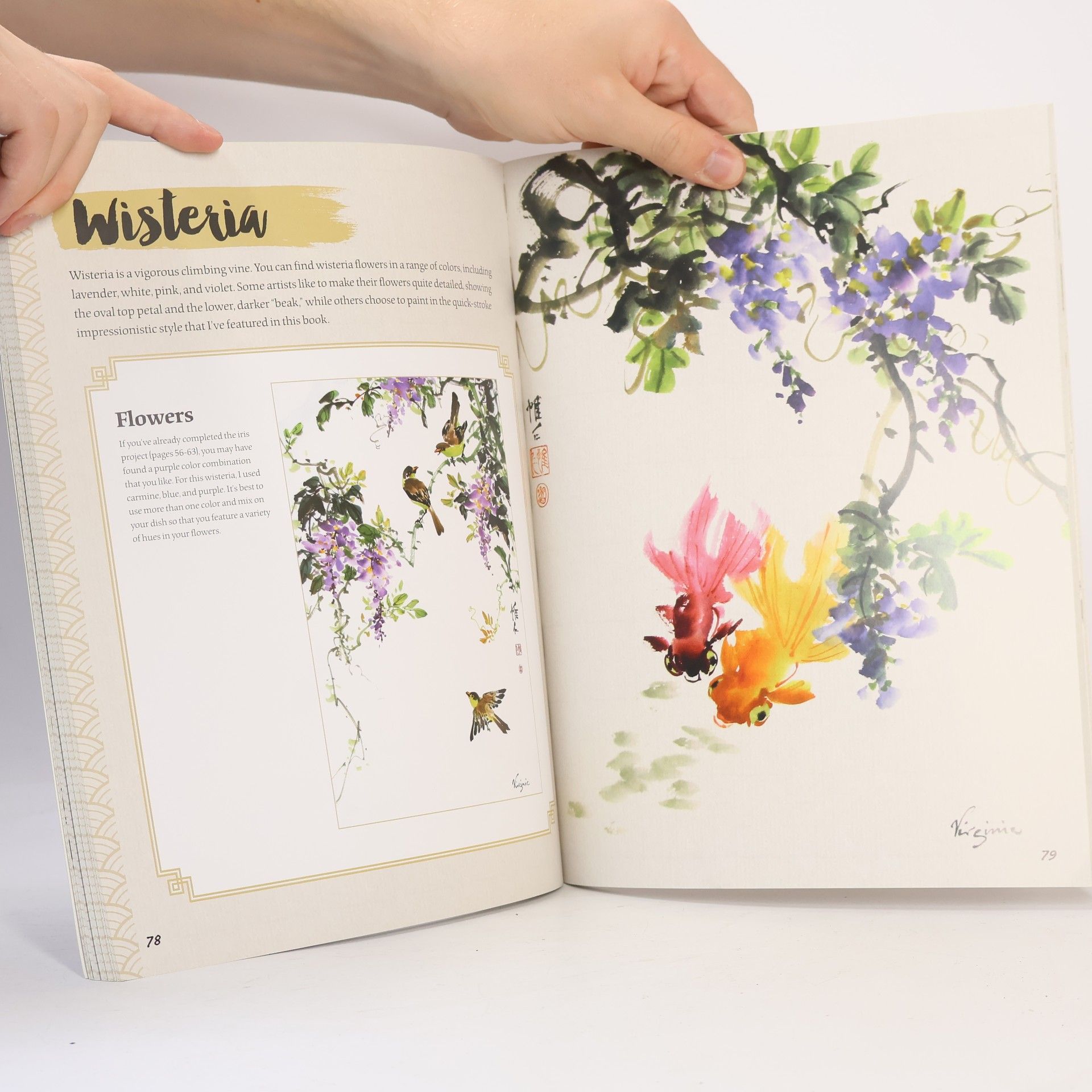 Virginia Lloyd-Davies Mindful Artist: Sumi-e Painting
