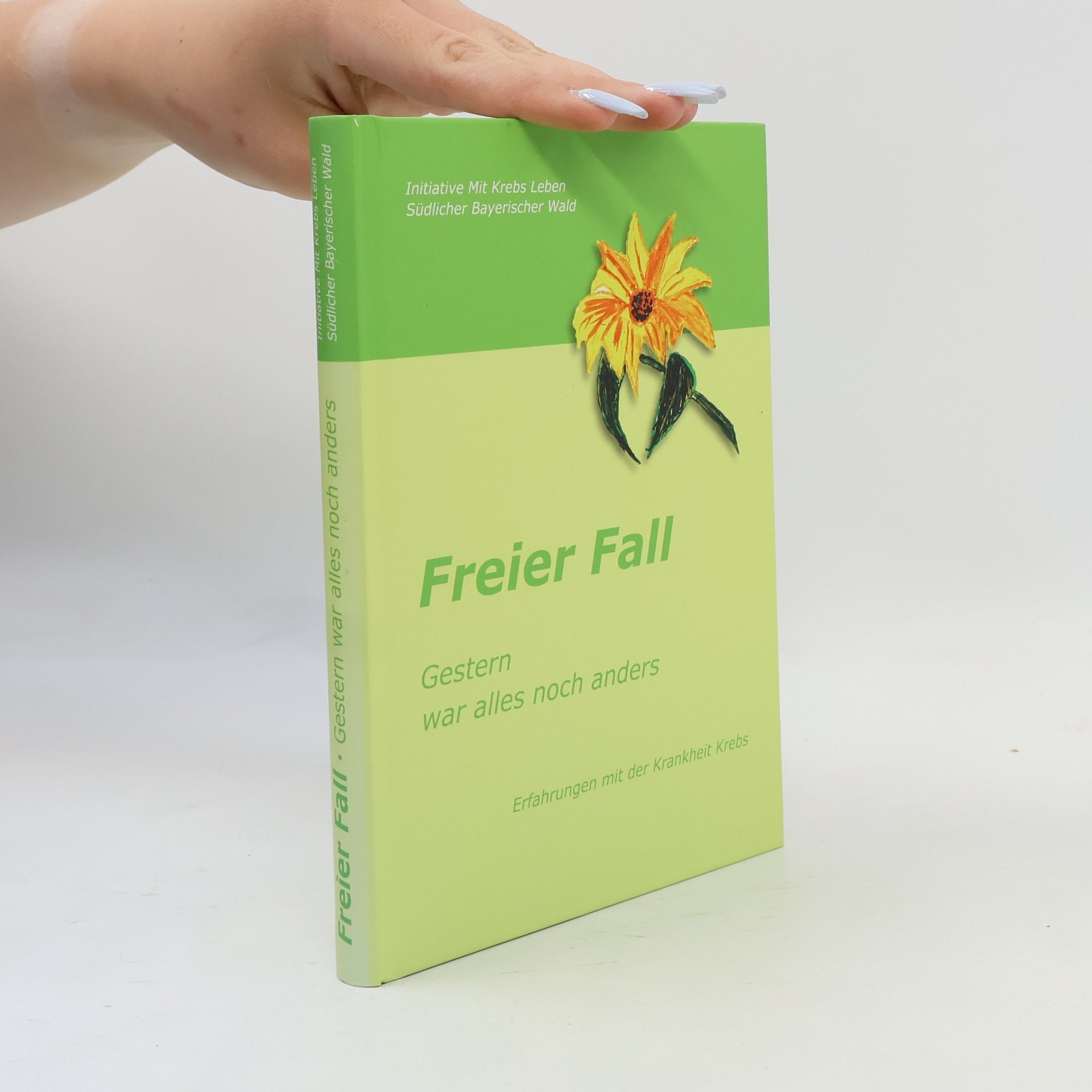 AA.VV. Freier Fall - Gestern war alles noch anders