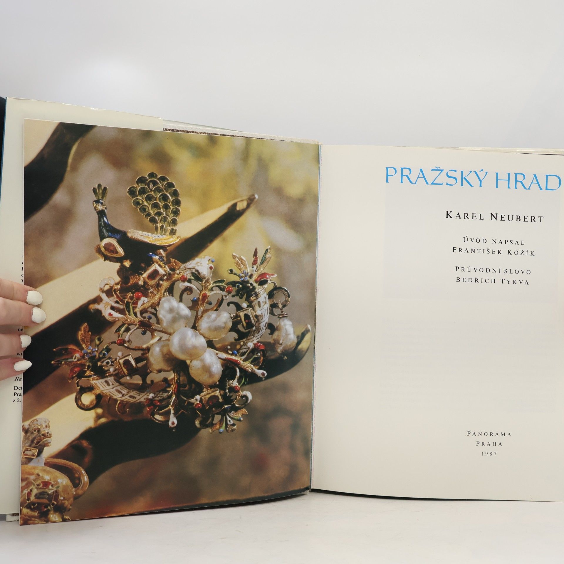 Karel Neubert Pražský hrad