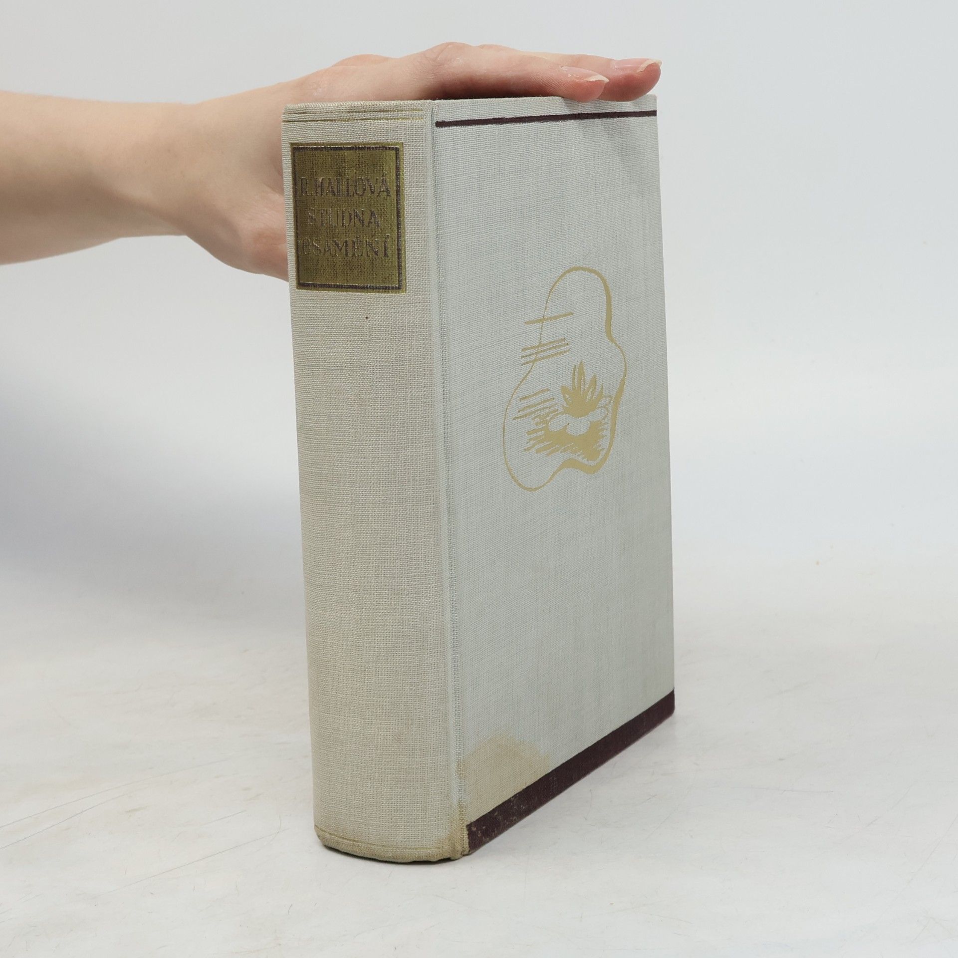 Radclyffe Hall Studna osamění