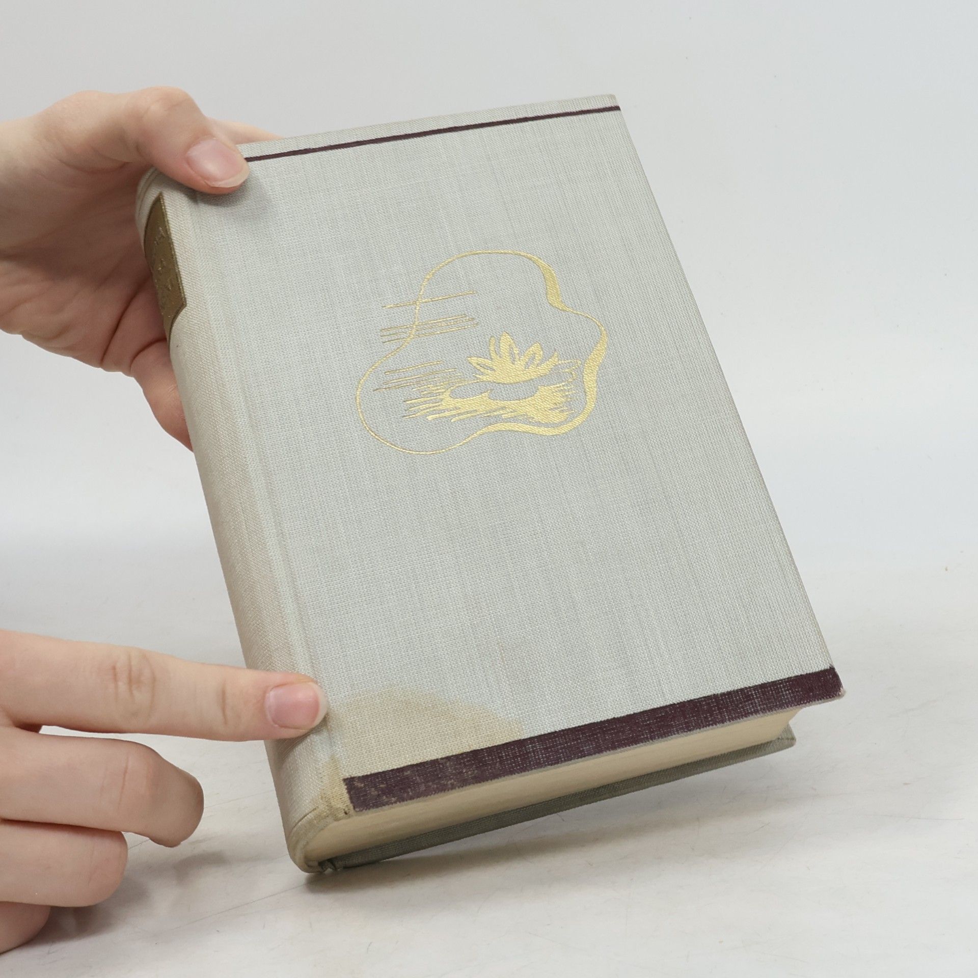 Radclyffe Hall Studna osamění