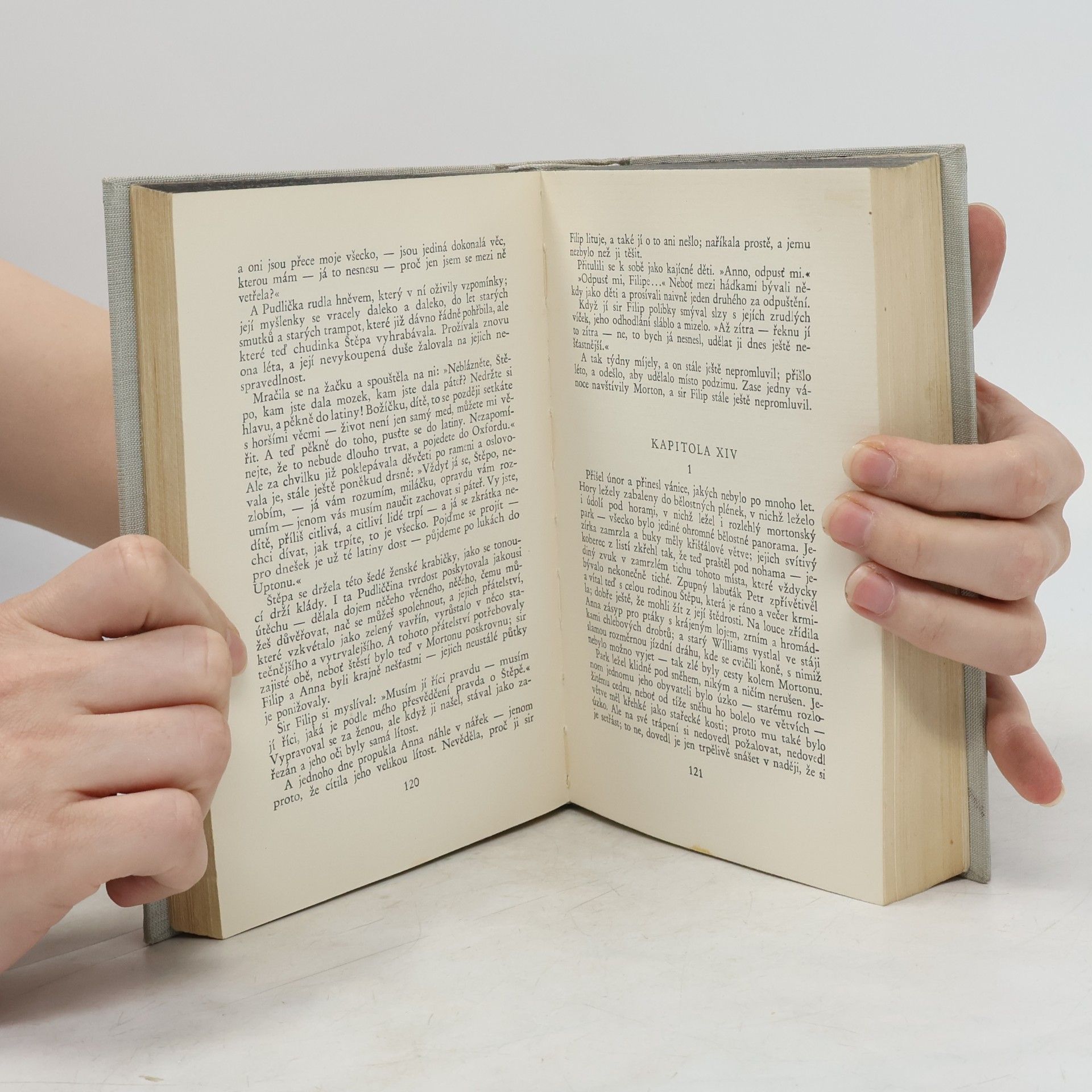 Radclyffe Hall Studna osamění