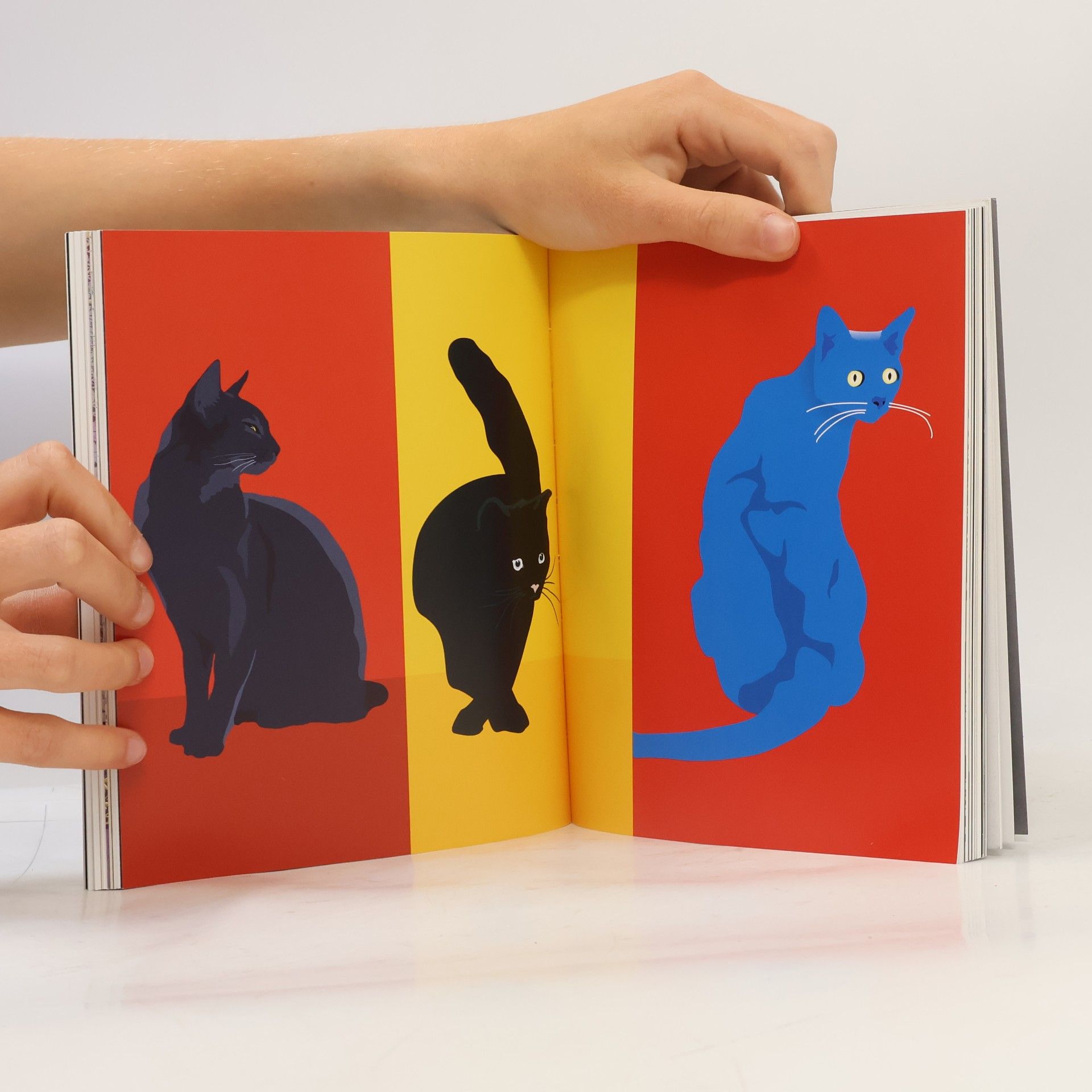 Caroline Roberts The Book of the Cat