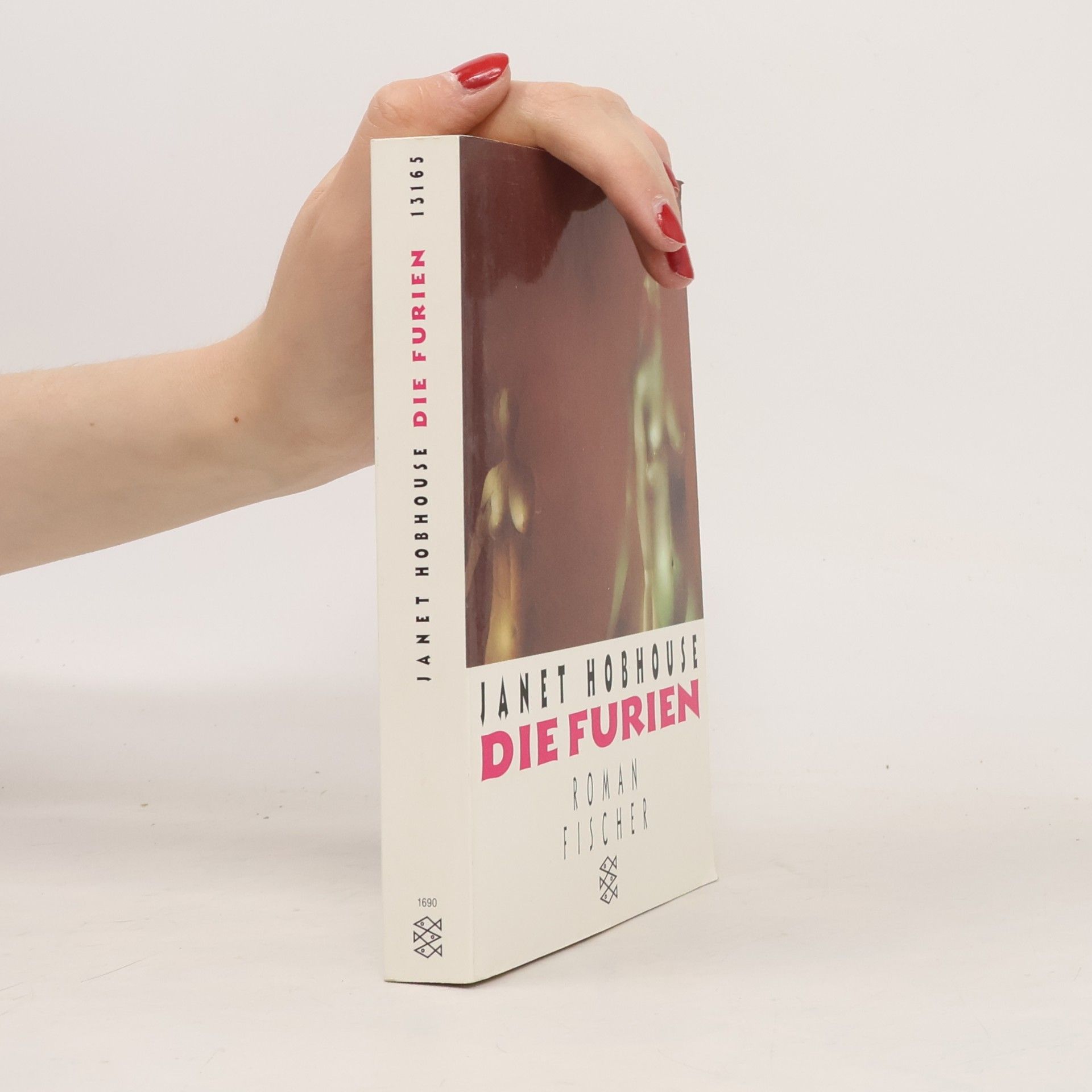 Janet Hobhouse Die Furien