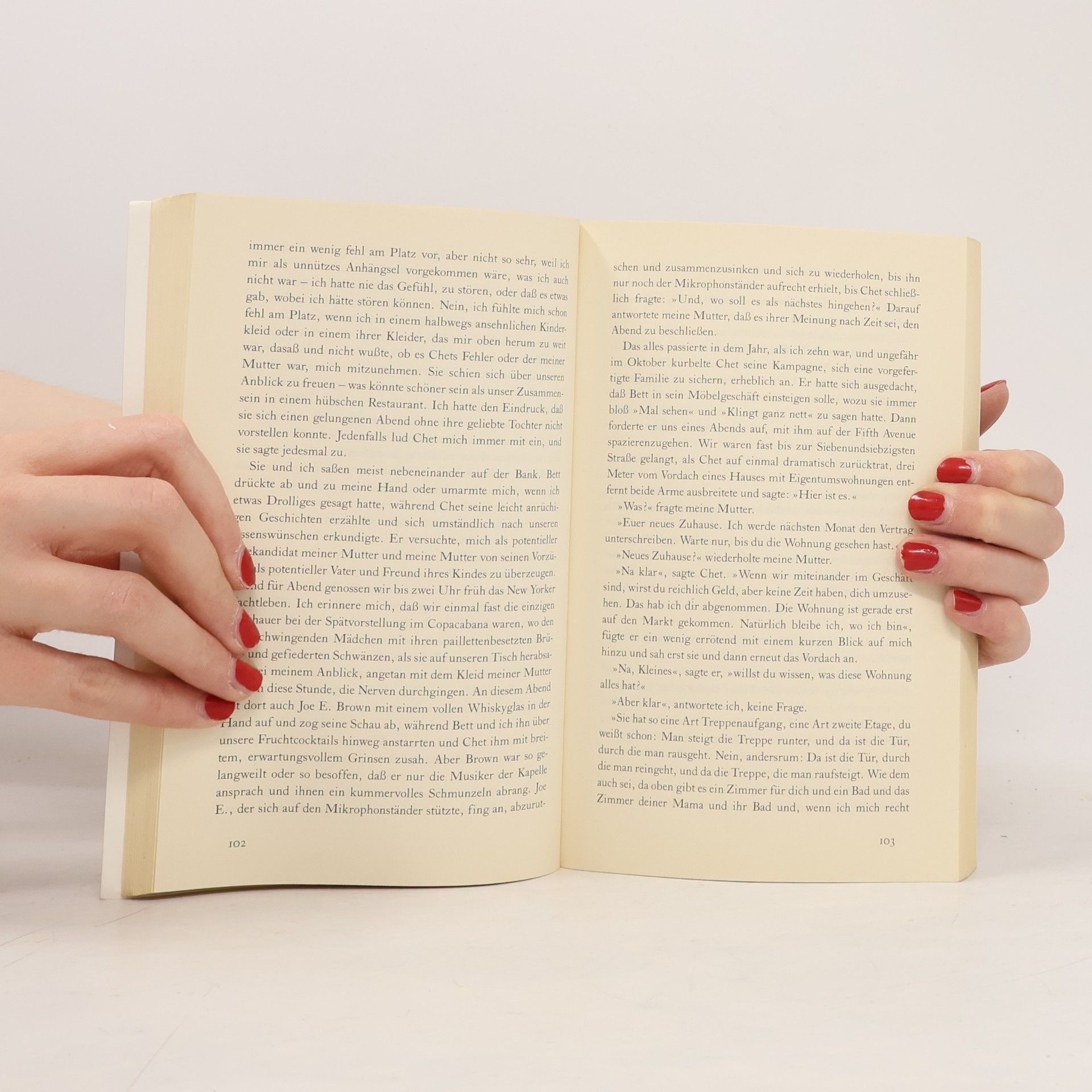 Janet Hobhouse Die Furien