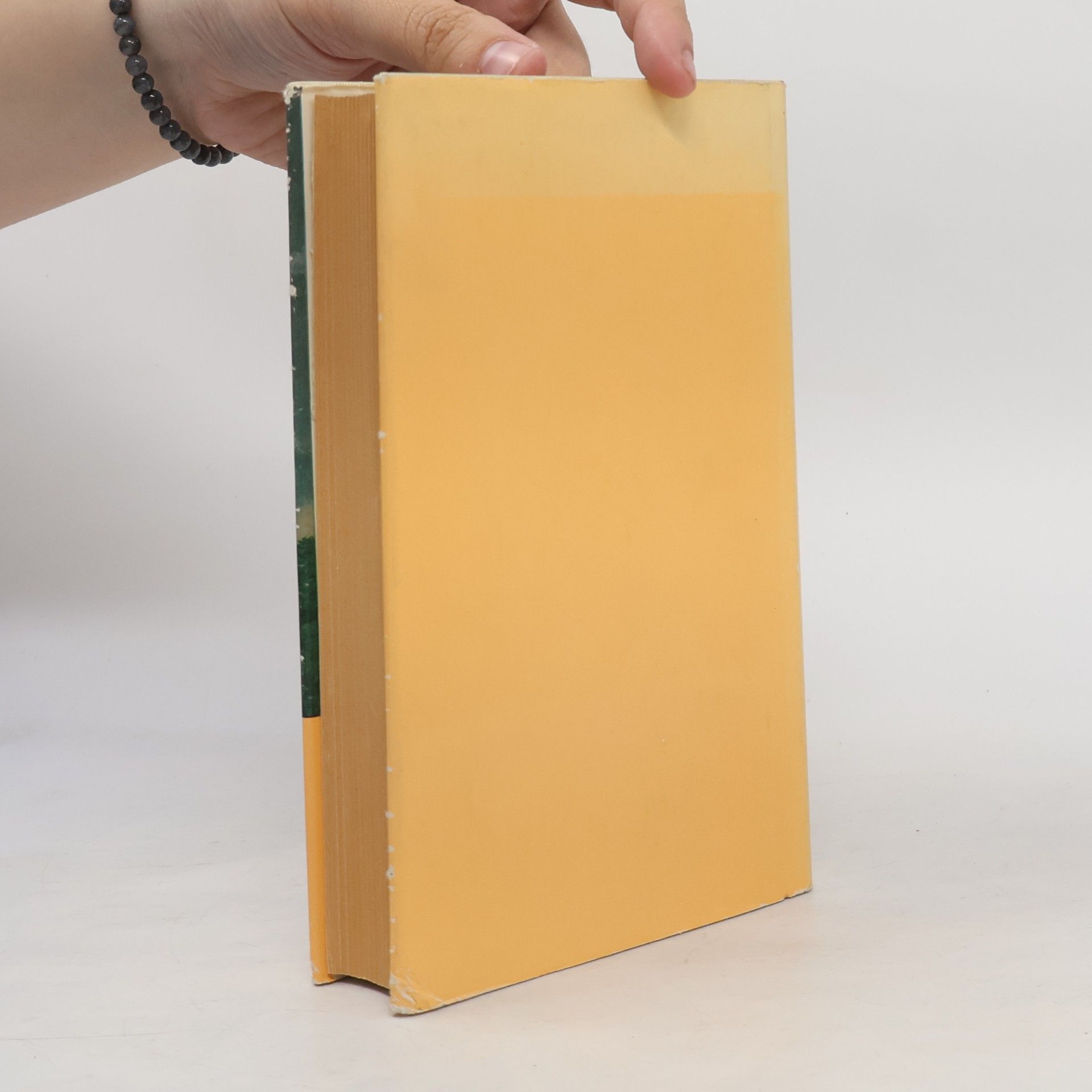 Collectif d'auteurs Goethe. Ein Lesebuch fur unsere Zeit