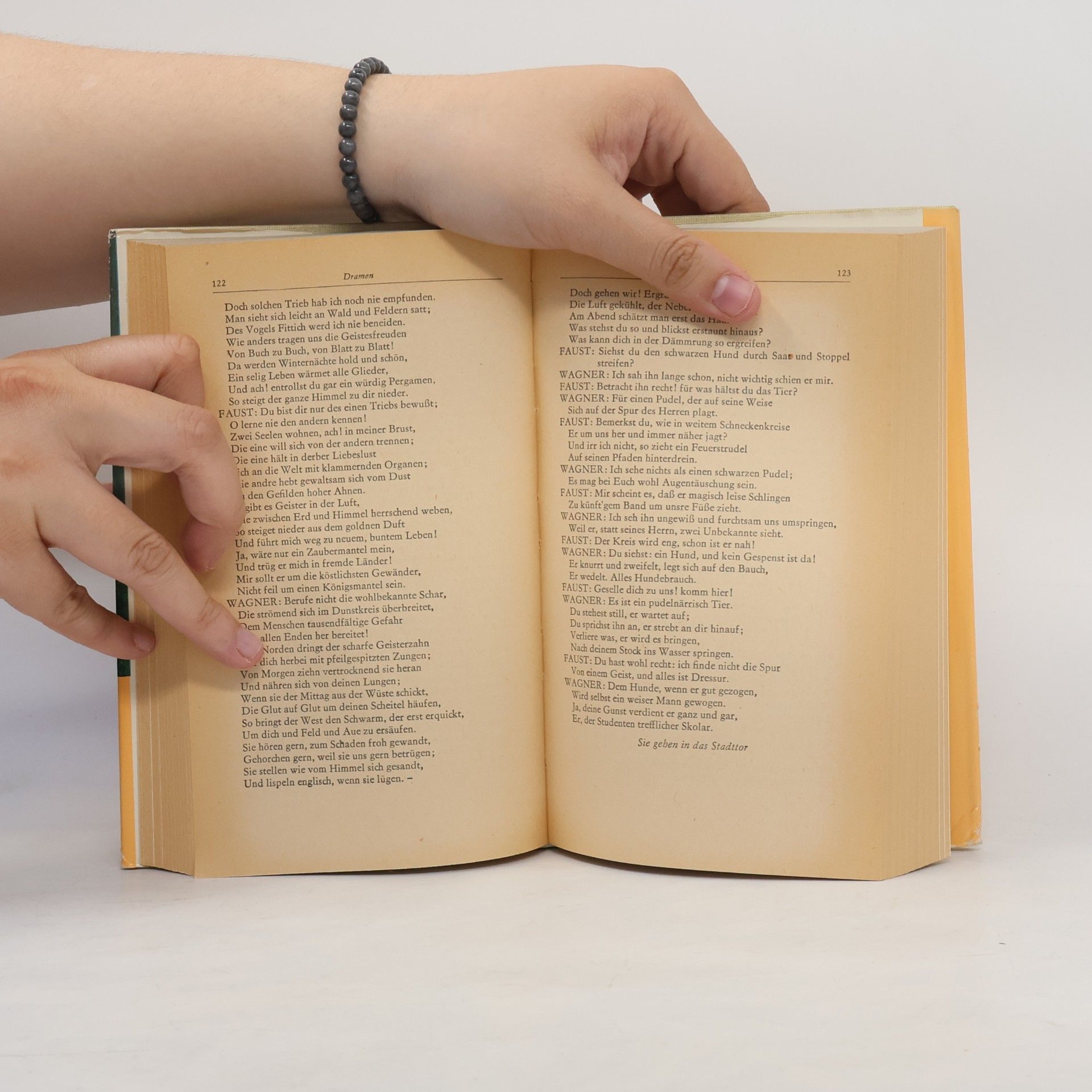 Collectif d'auteurs Goethe. Ein Lesebuch fur unsere Zeit