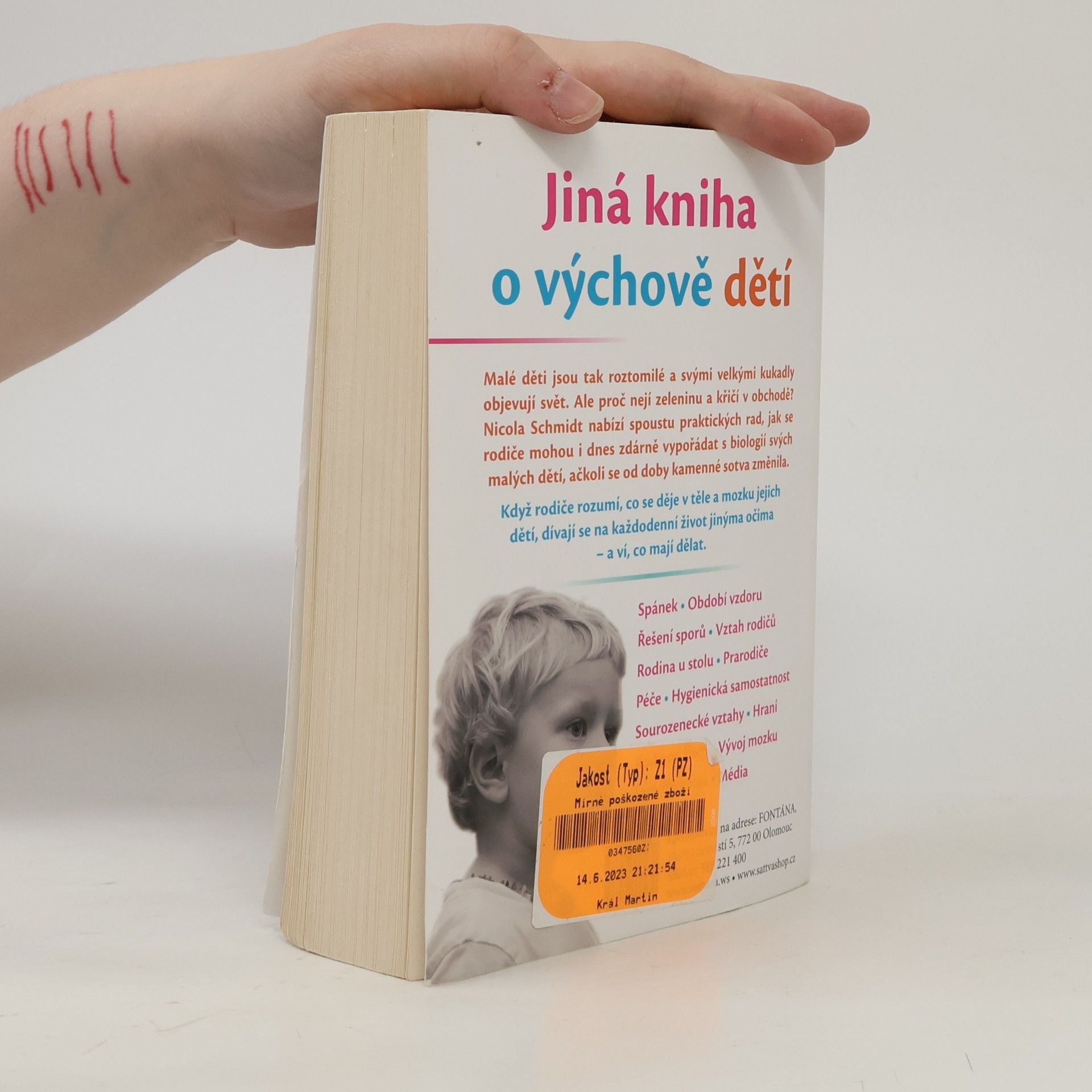 Nicola Schmidt Výchova dětí jinak