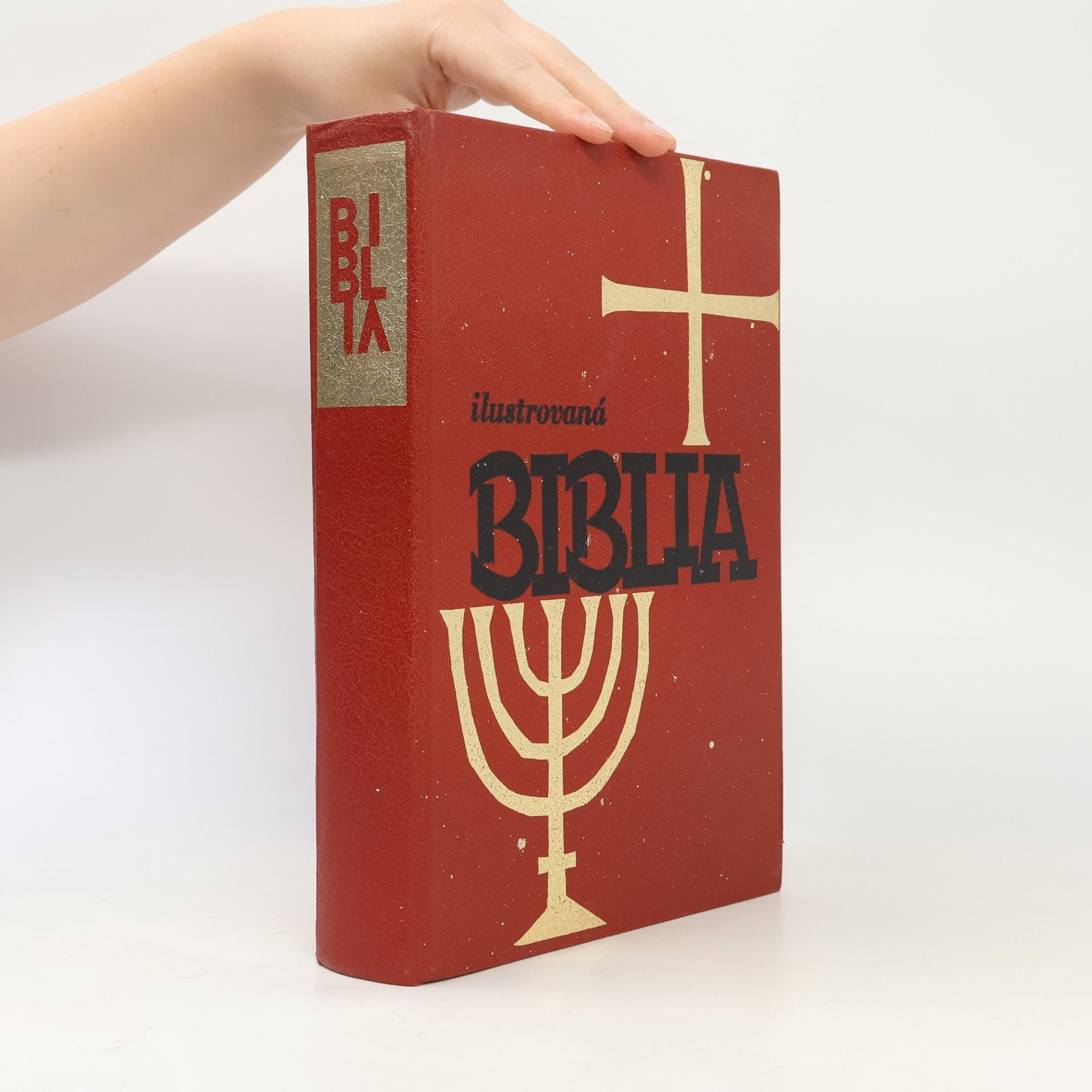 Autorenkollektiv Ilustrovaná Biblia
