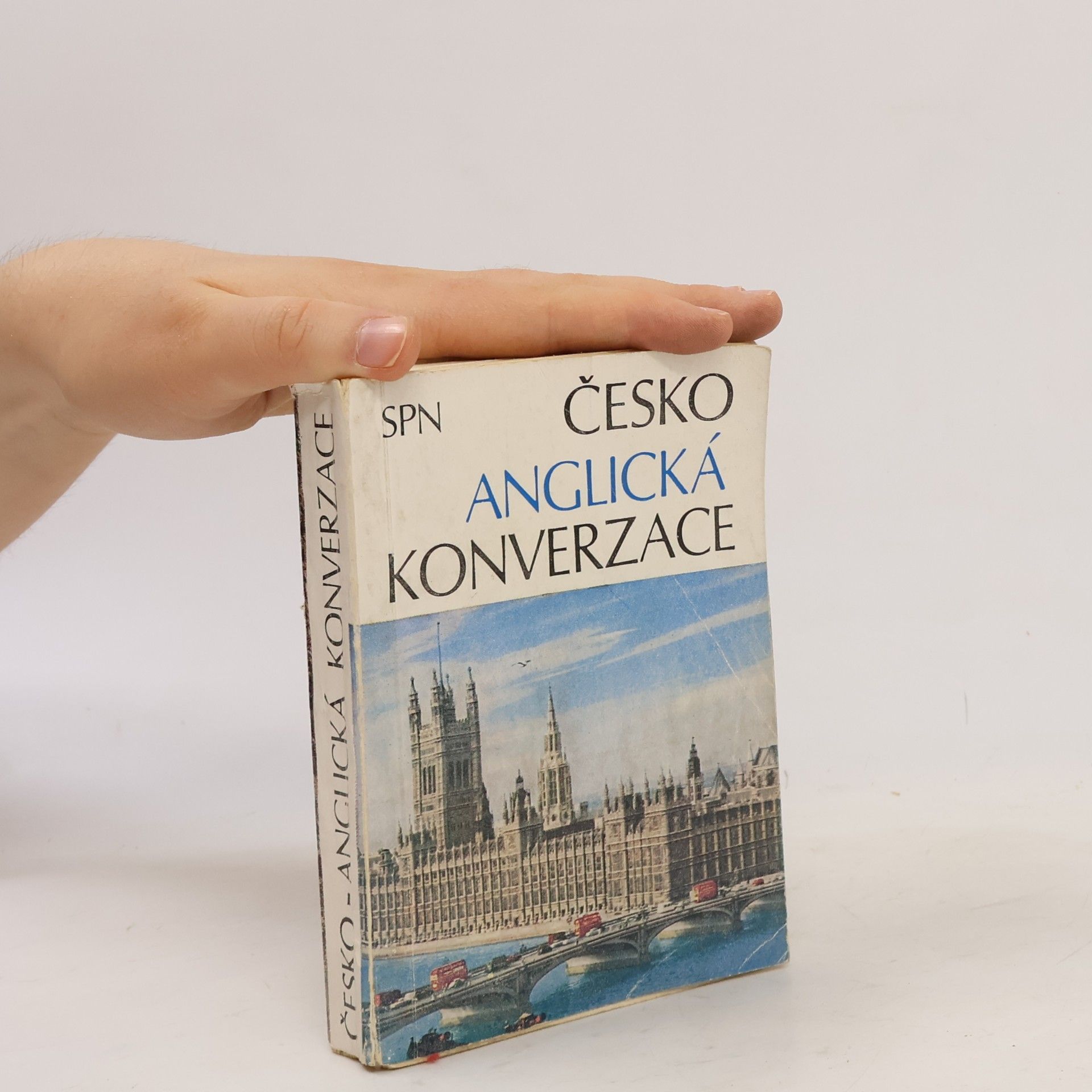 Jarmila Janešová Česko-anglická konverzace