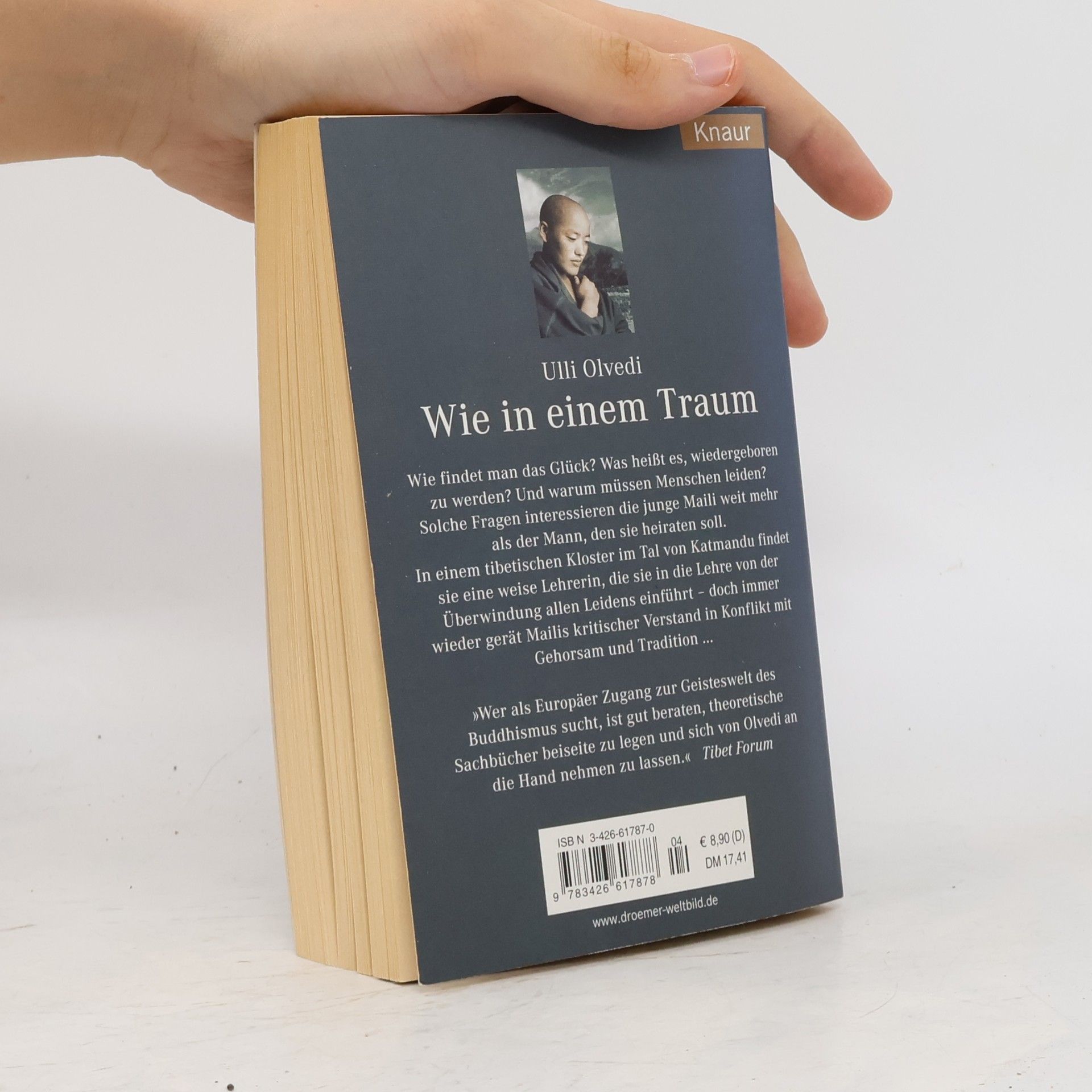 Ulli Olvedi Wie in einem Traum