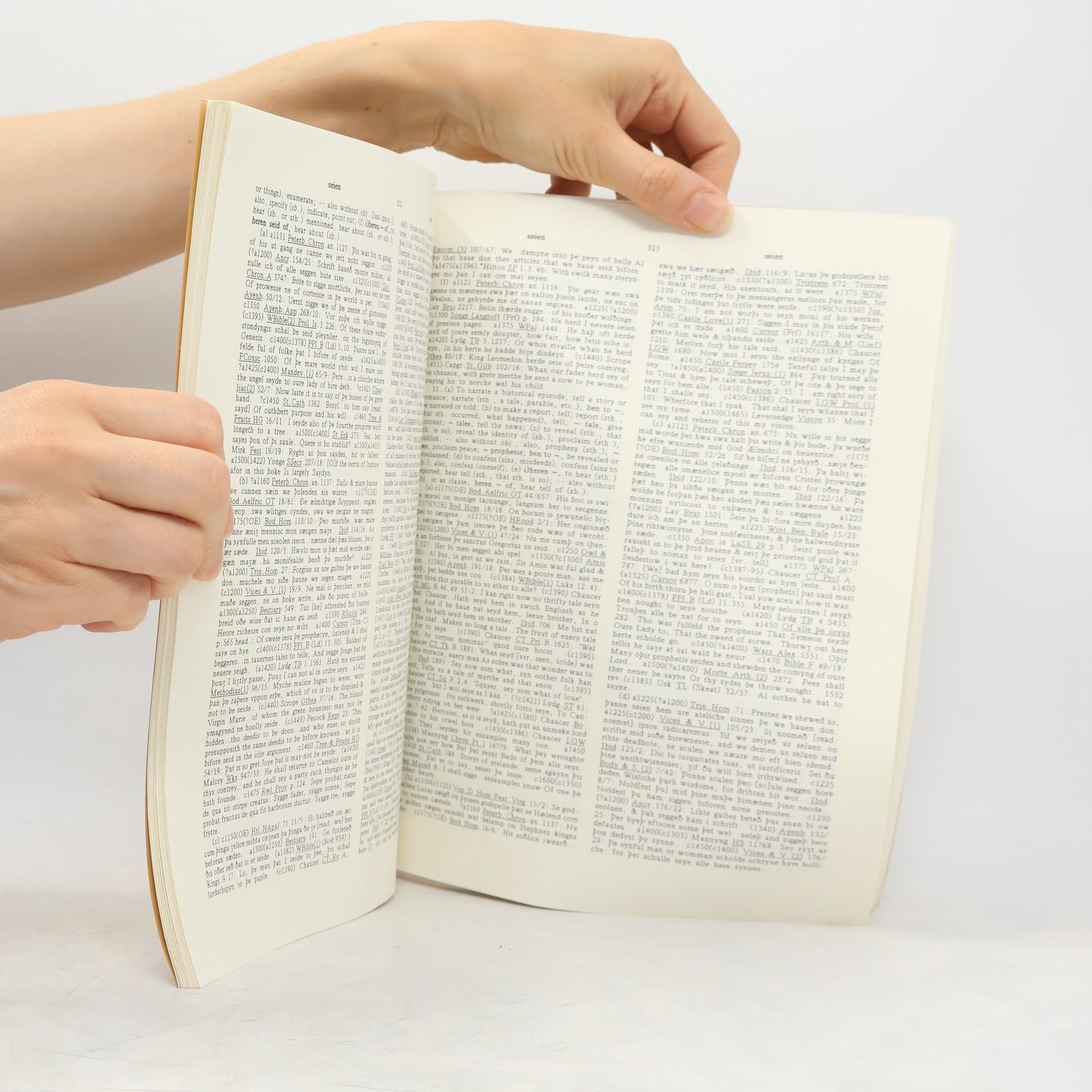 Robert E. Lewis Middle English Dictionary