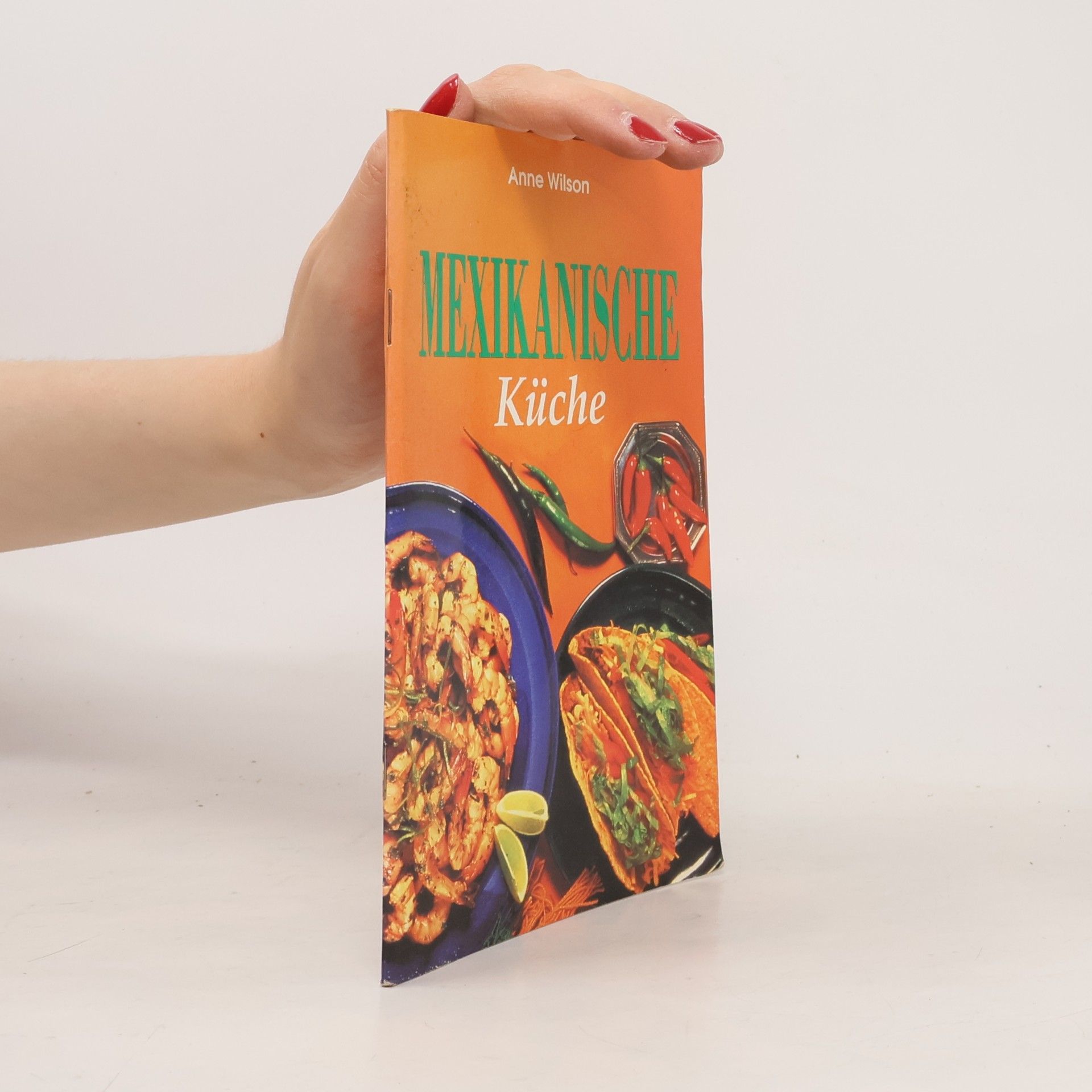 Anne Wilson Mexikanische Küche