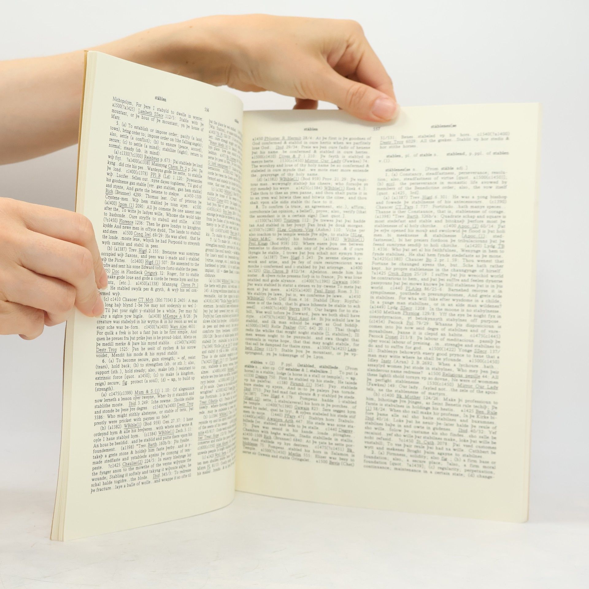 Robert E. Lewis Middle English Dictionary