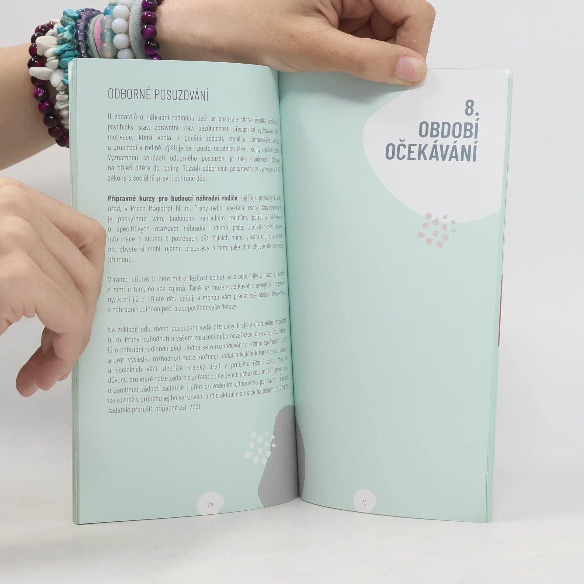 Collectif d'auteurs Průvodce náhradní rodinnou péčí