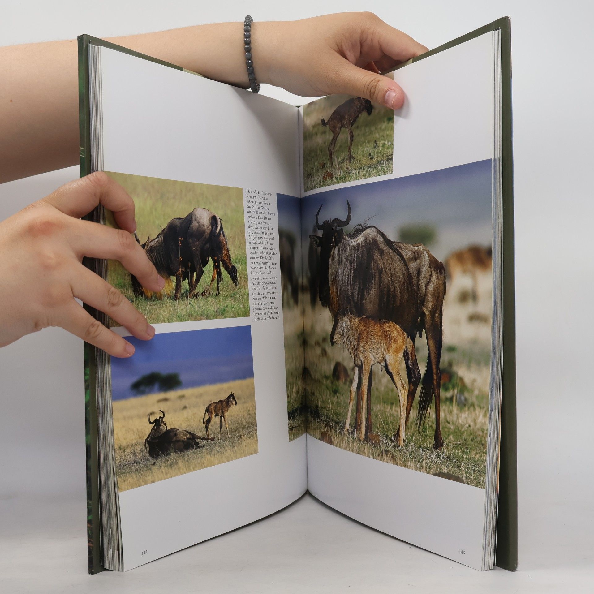 Christine Denis-Huot Das Reich der Wildnis