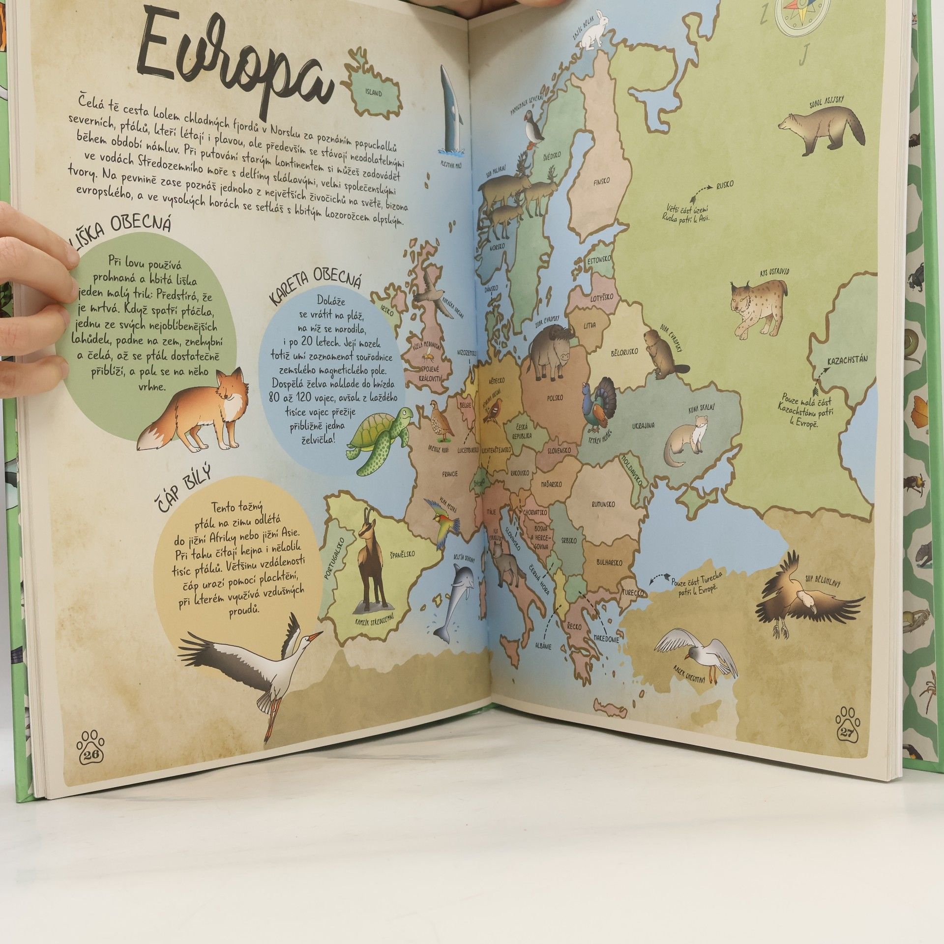 Paola Grimaldi Atlas zvířat celého světa