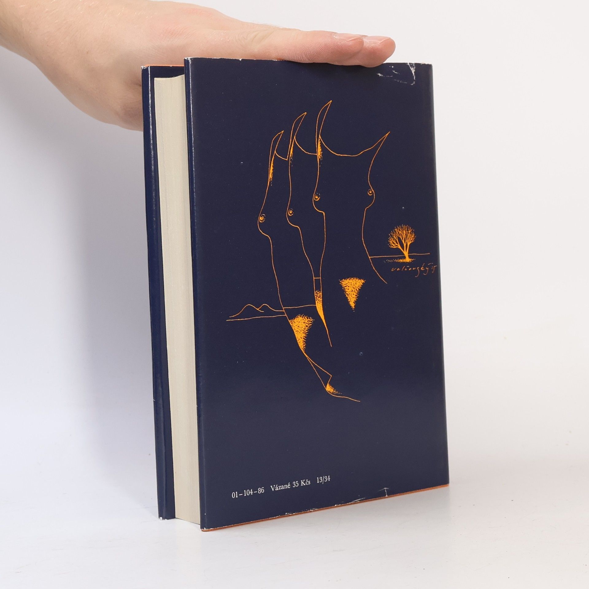 Autorenkollektiv Almanach Světové literatury