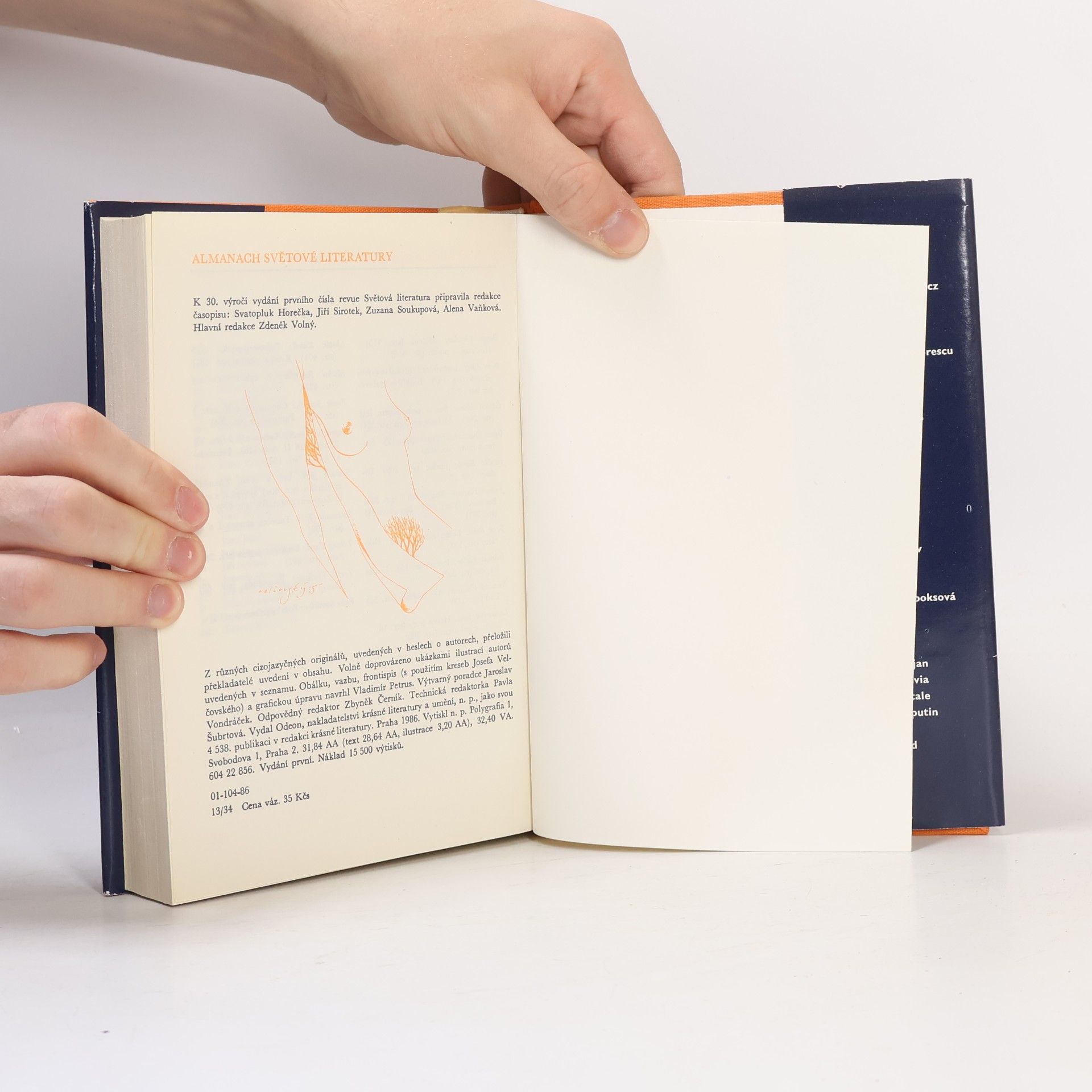 Autorenkollektiv Almanach Světové literatury