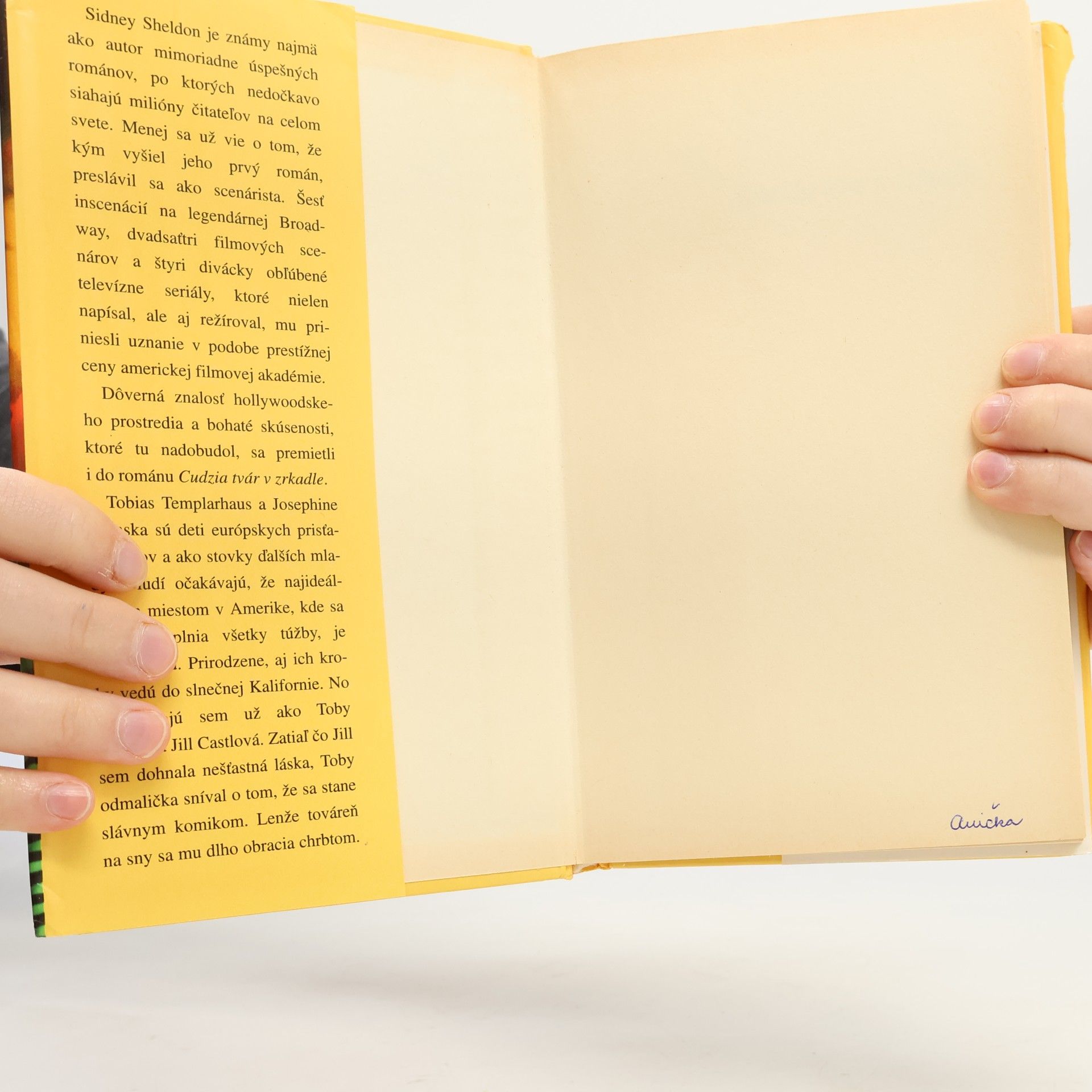 Sidney Sheldon Cudzia tvár v zrkadle