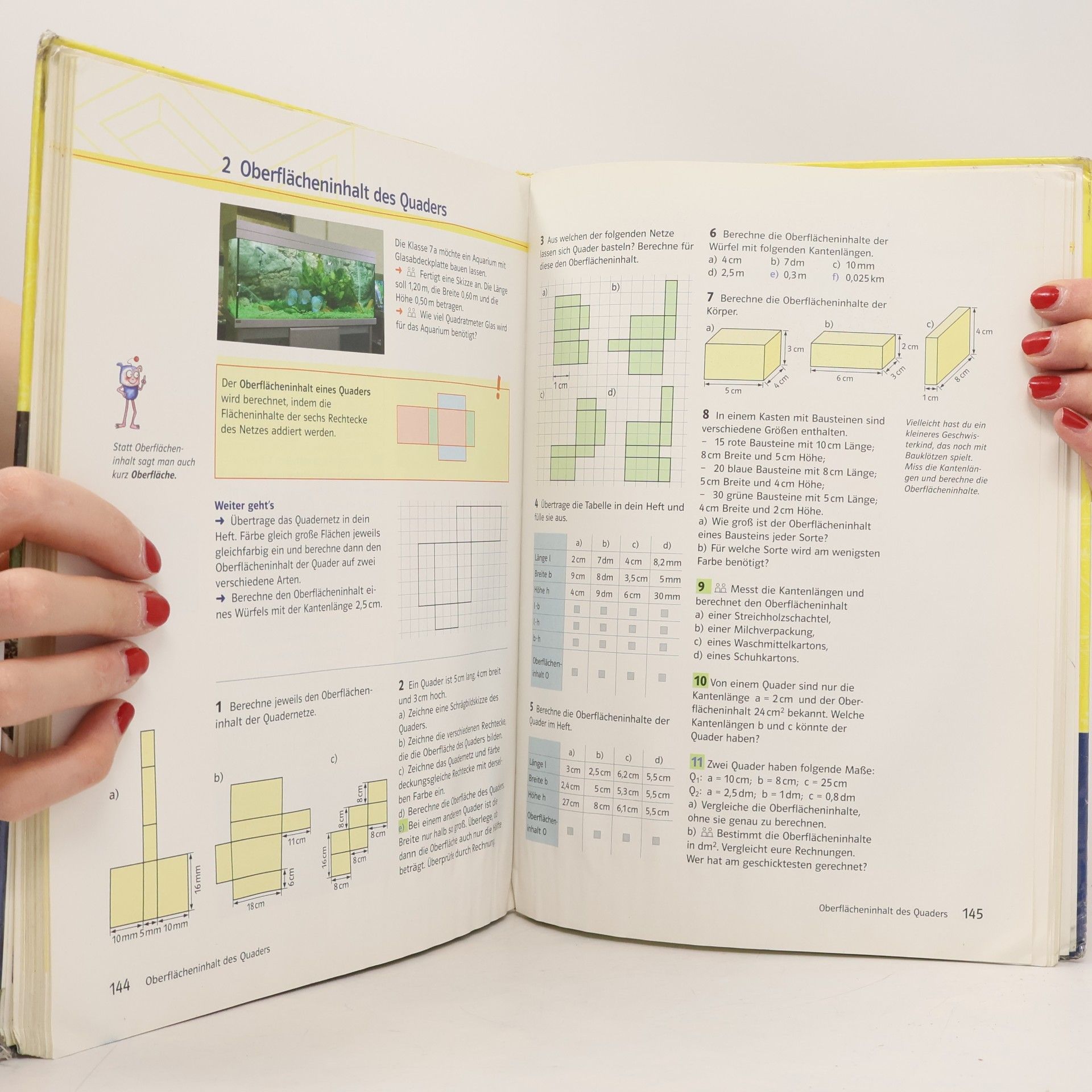 Einblicke - 7: Einblicke Mathematik - Ausgabe für Niedersachsen und Hessen. Neubearbeitung / Schülerbuch 7. Schuljahr