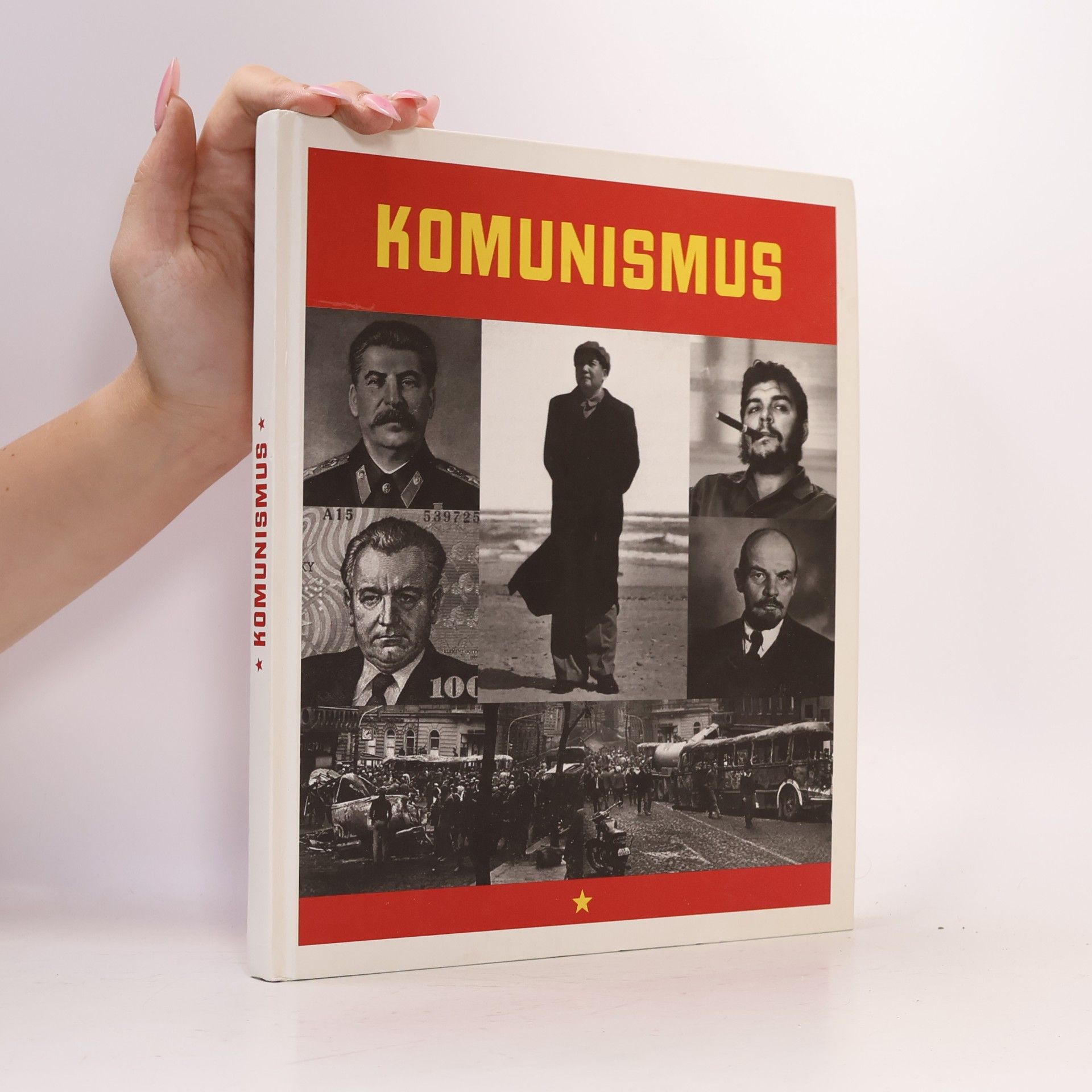 Marcello Flores Komunismus