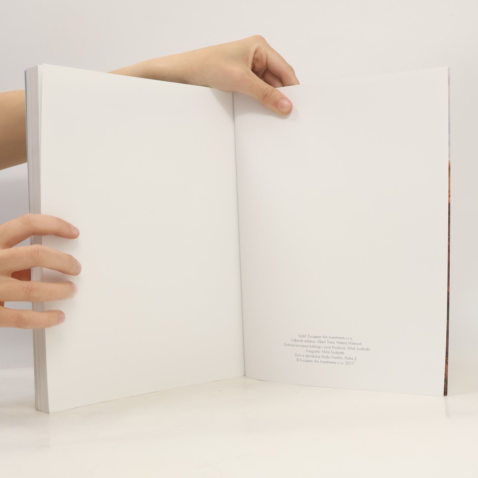 Various authors Aukce mistrovských děl výtvarného umění