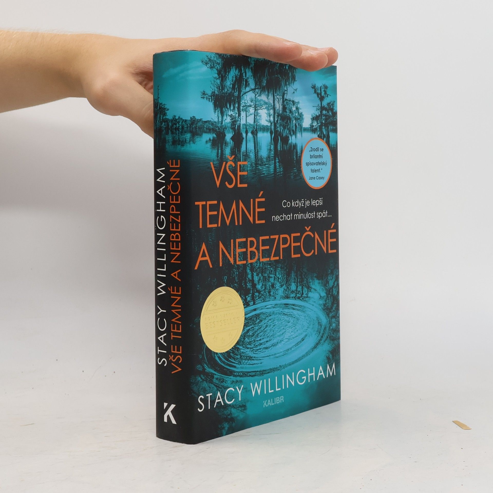 Stacy Willingham Vše temné a nebezpečné