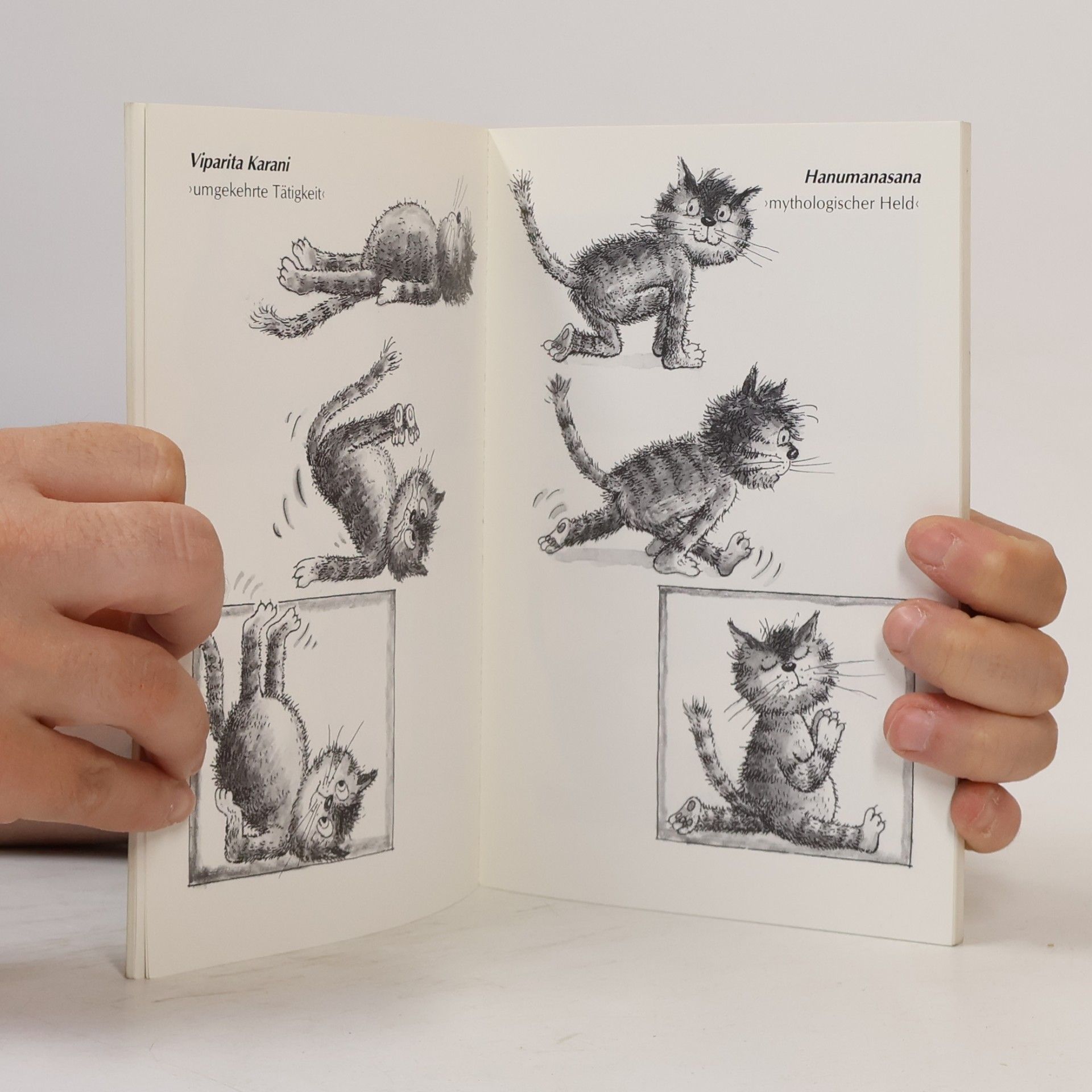 Traudl Reiner Yoga für Katzen
