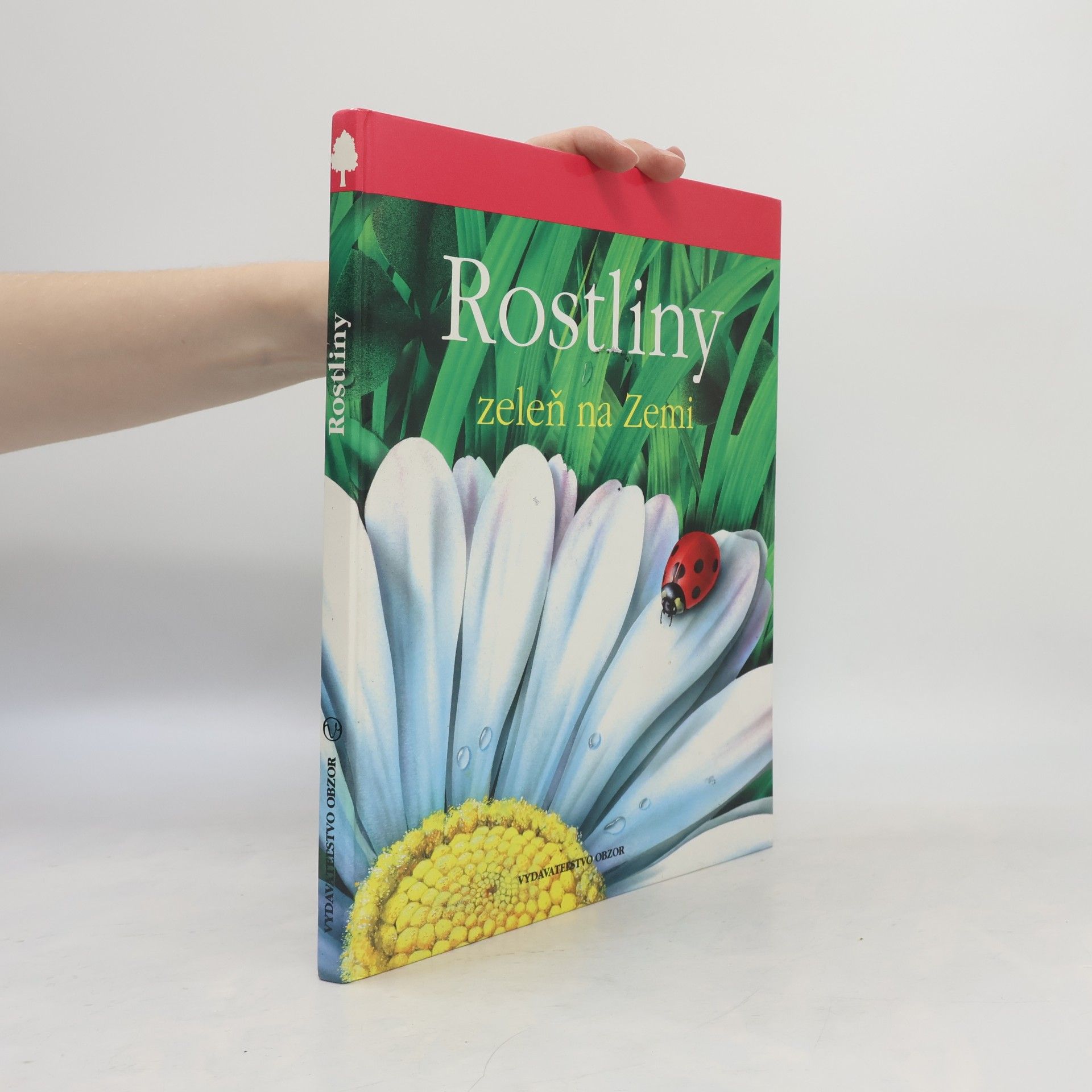 Lucia Benedittiová Rostliny. Zeleň na zemi