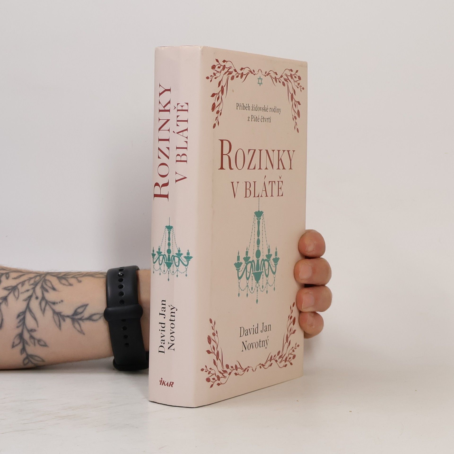 David Jan Novotný Rozinky v blátě